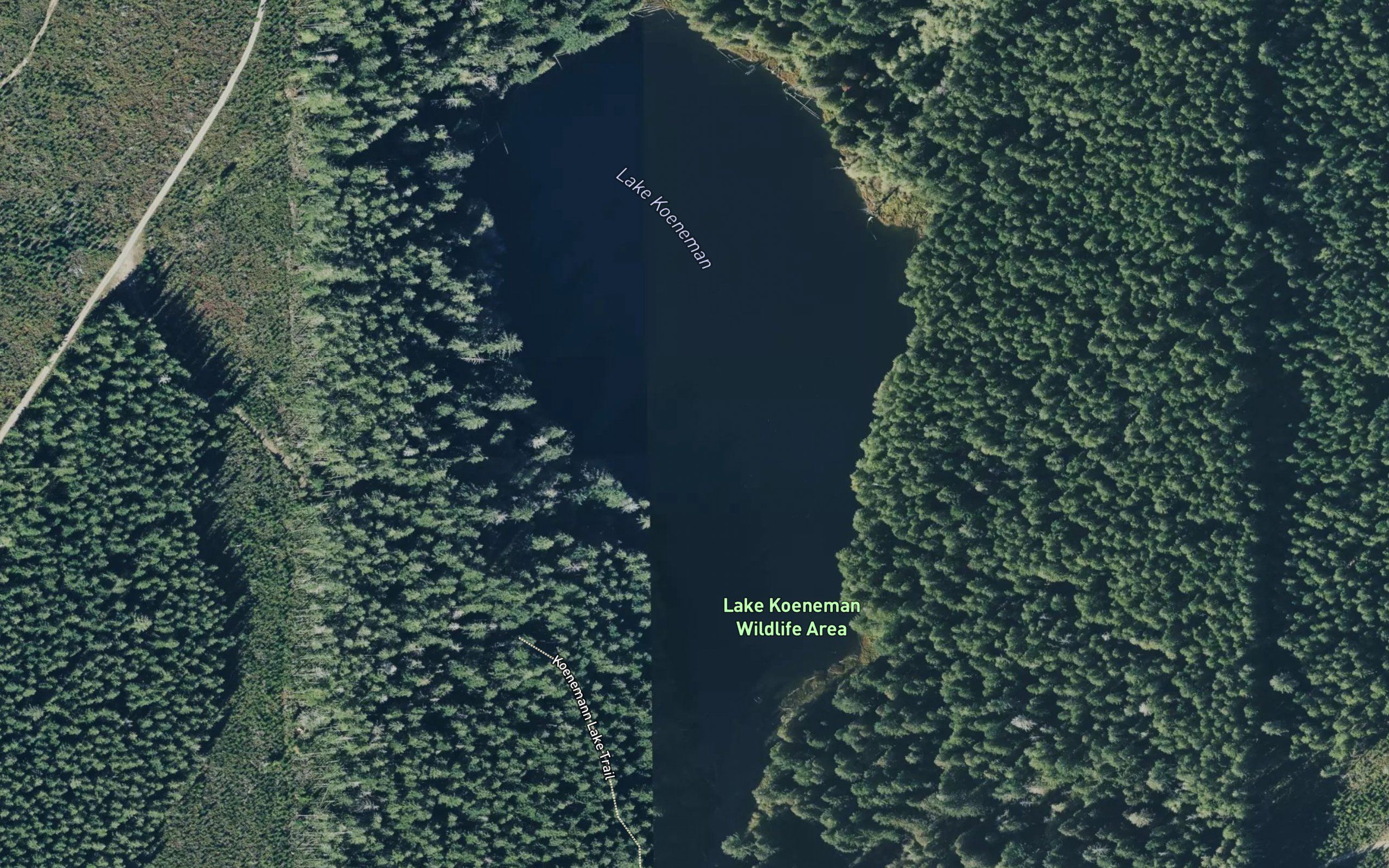 Lake Koeneman