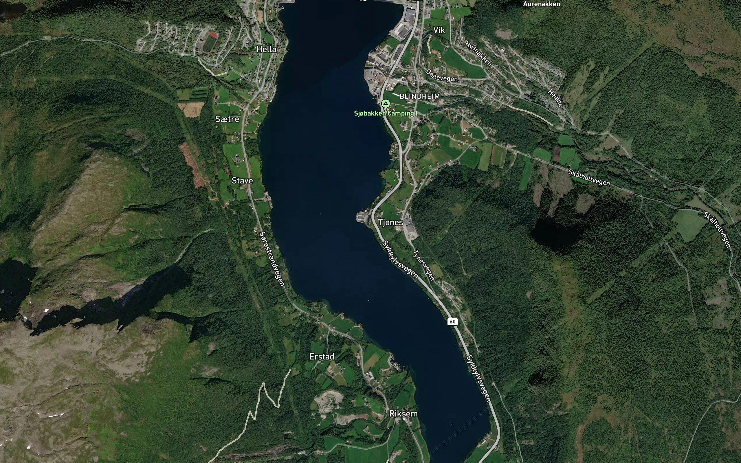 Gronvika
