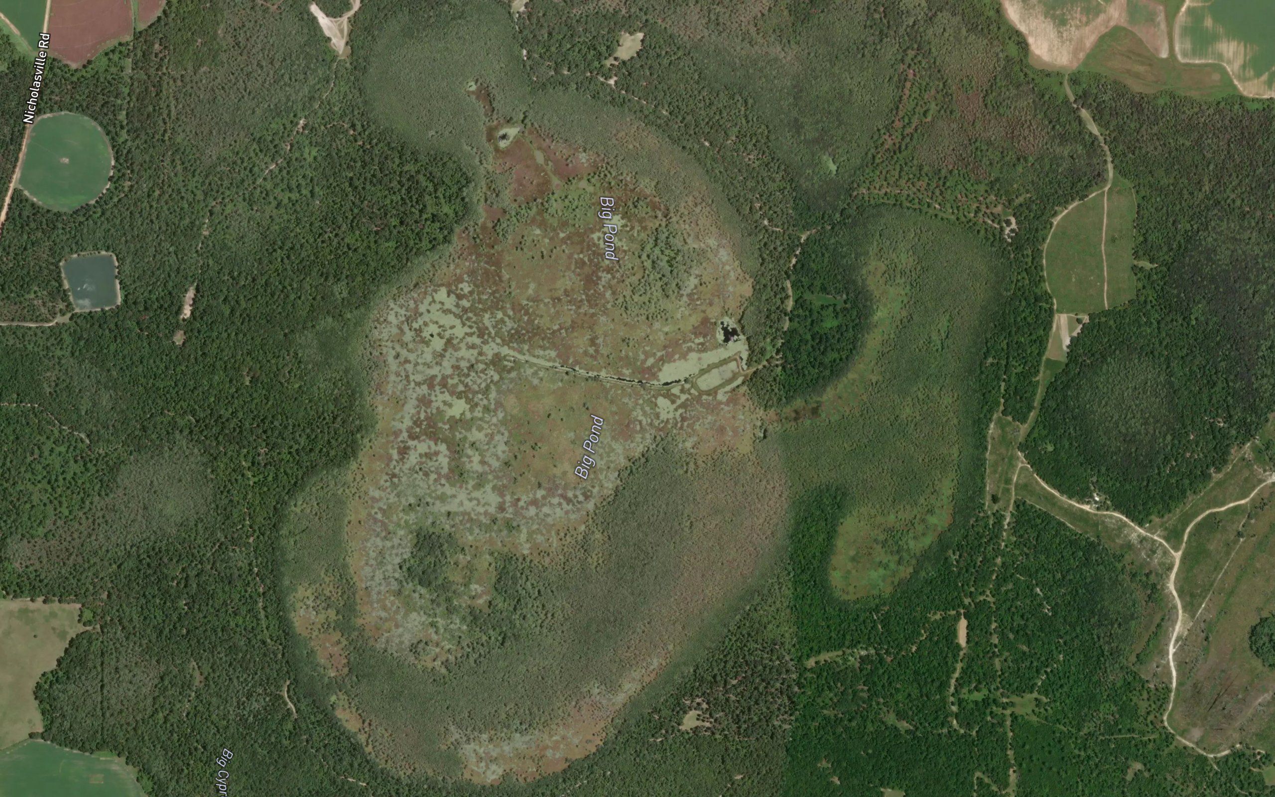 Big Pond