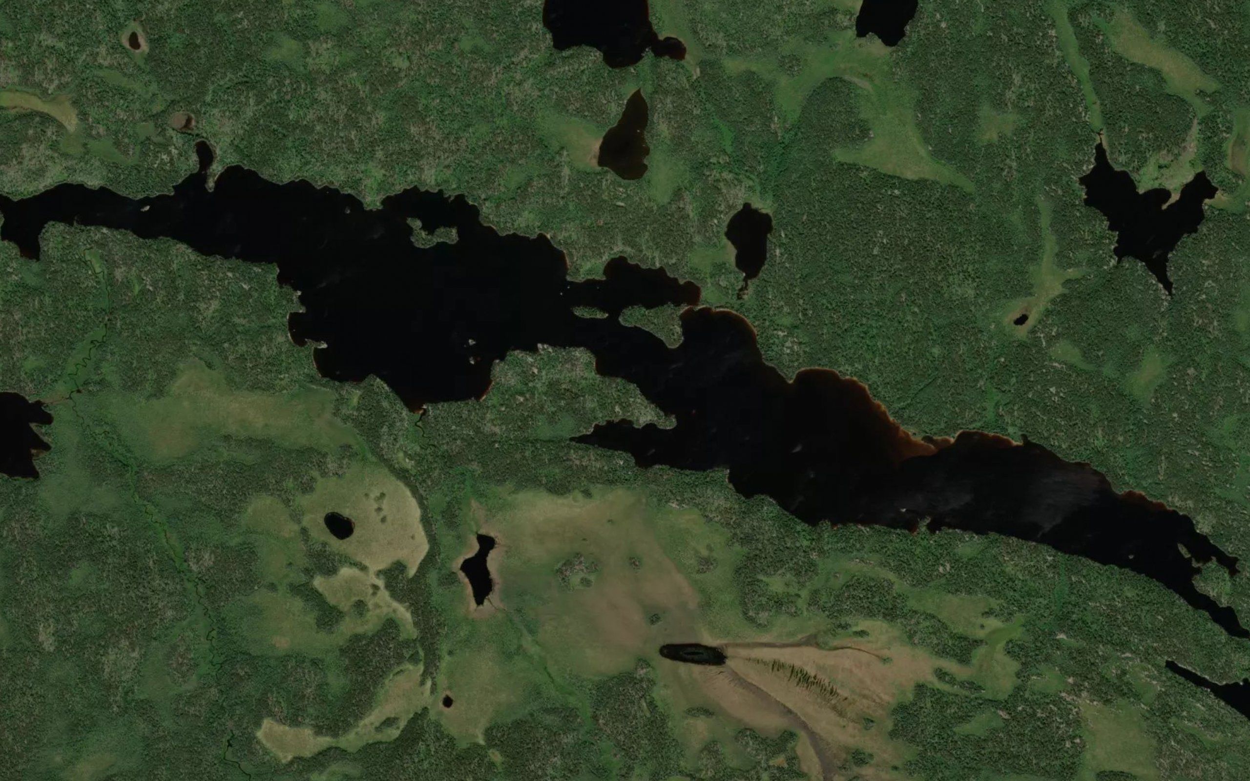Windfall Lake