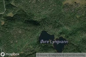 Satellite map of the Lyngvassfossen