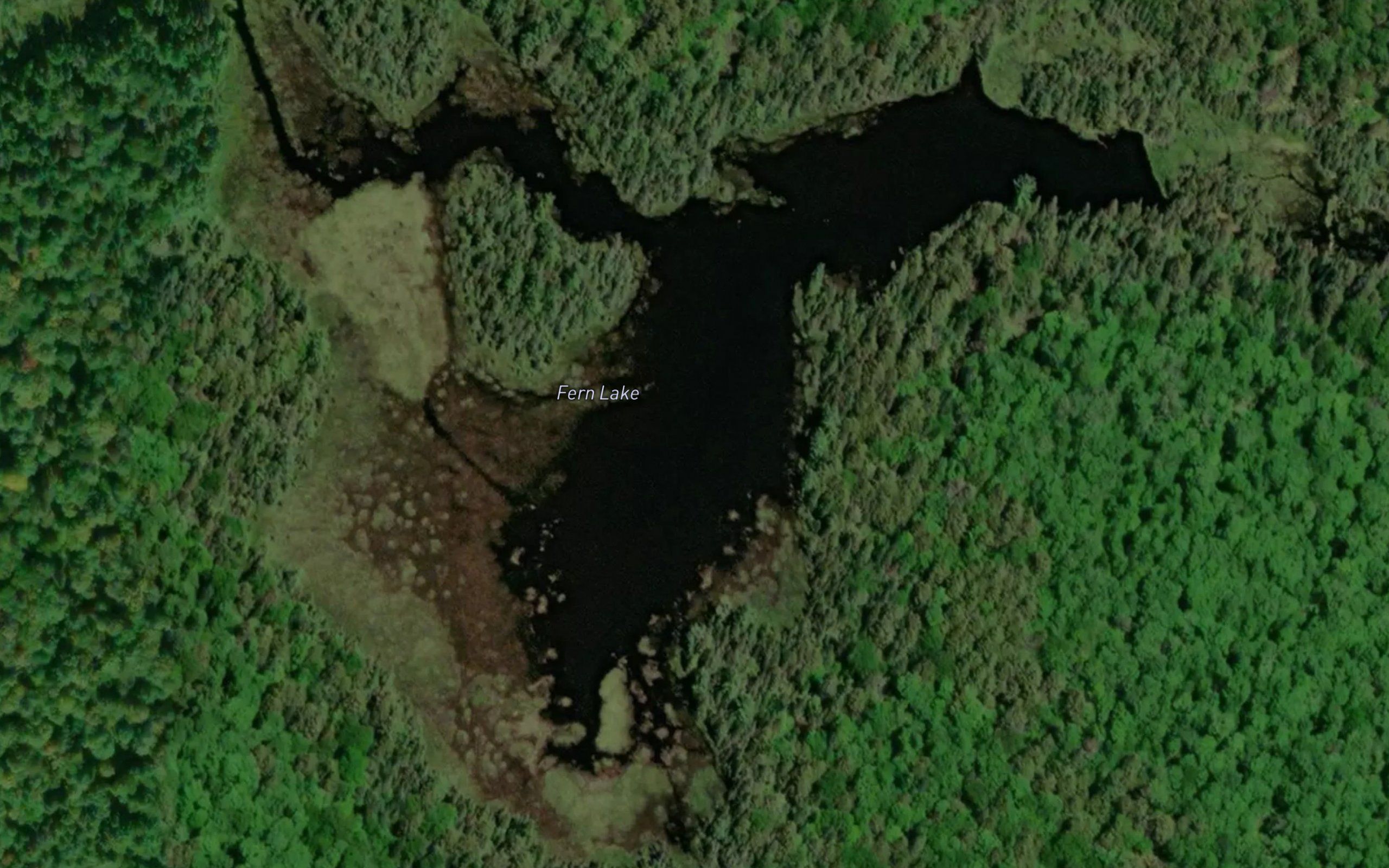 Fern Lake