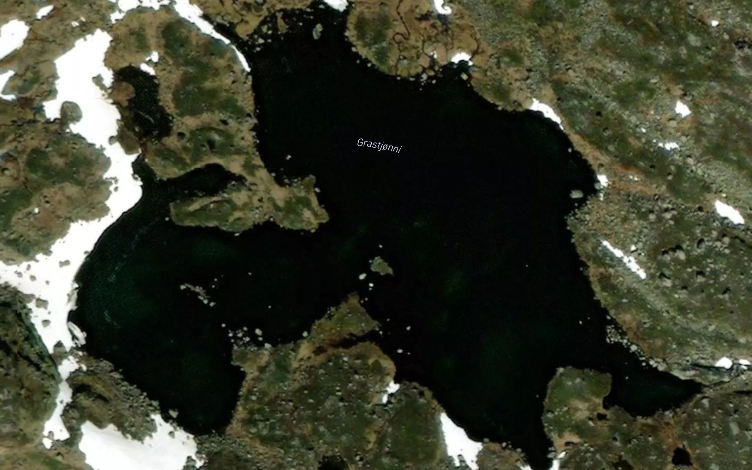 Grastjorni