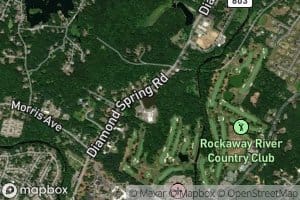 Diamond Springs Pond