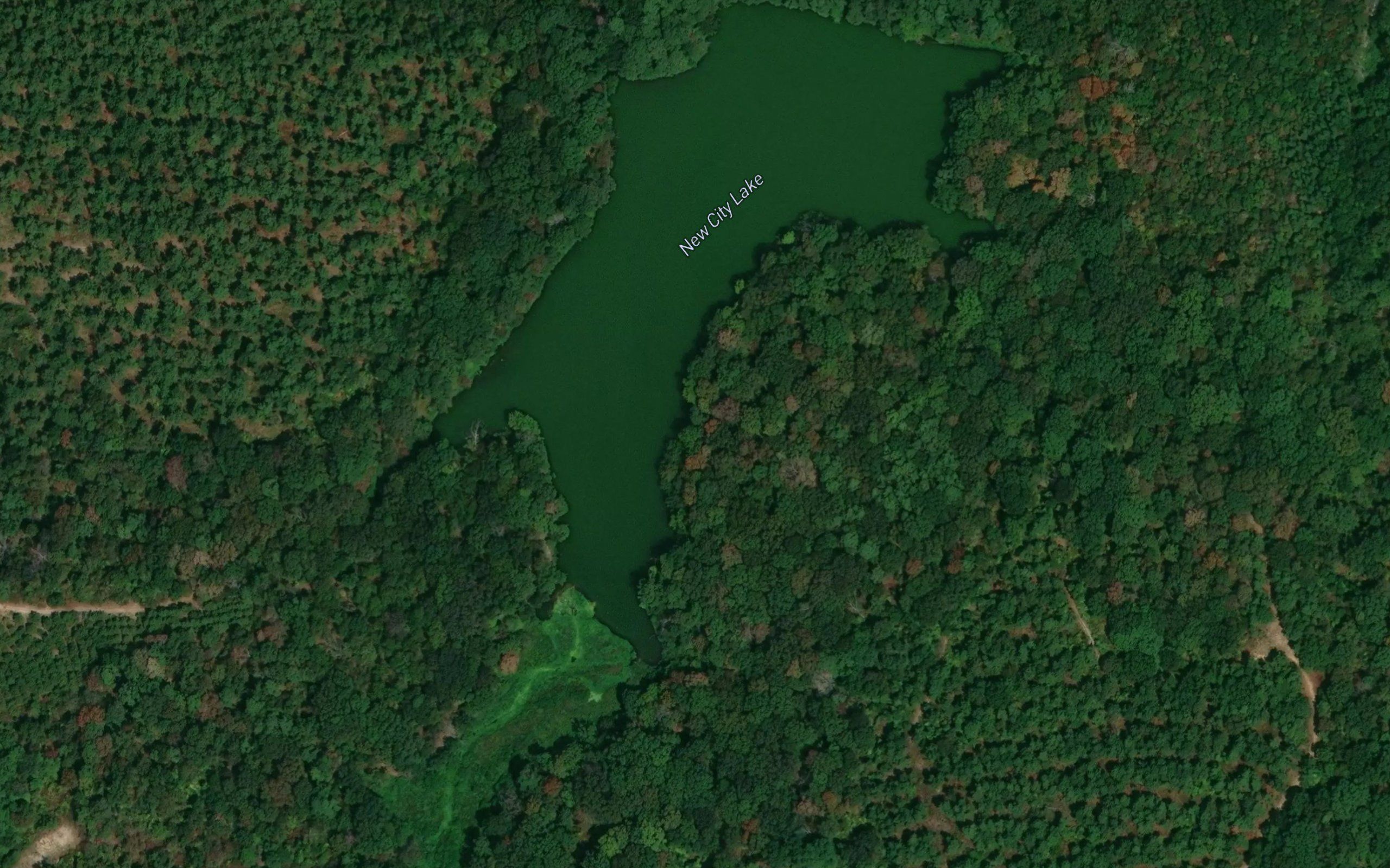 New City Lake