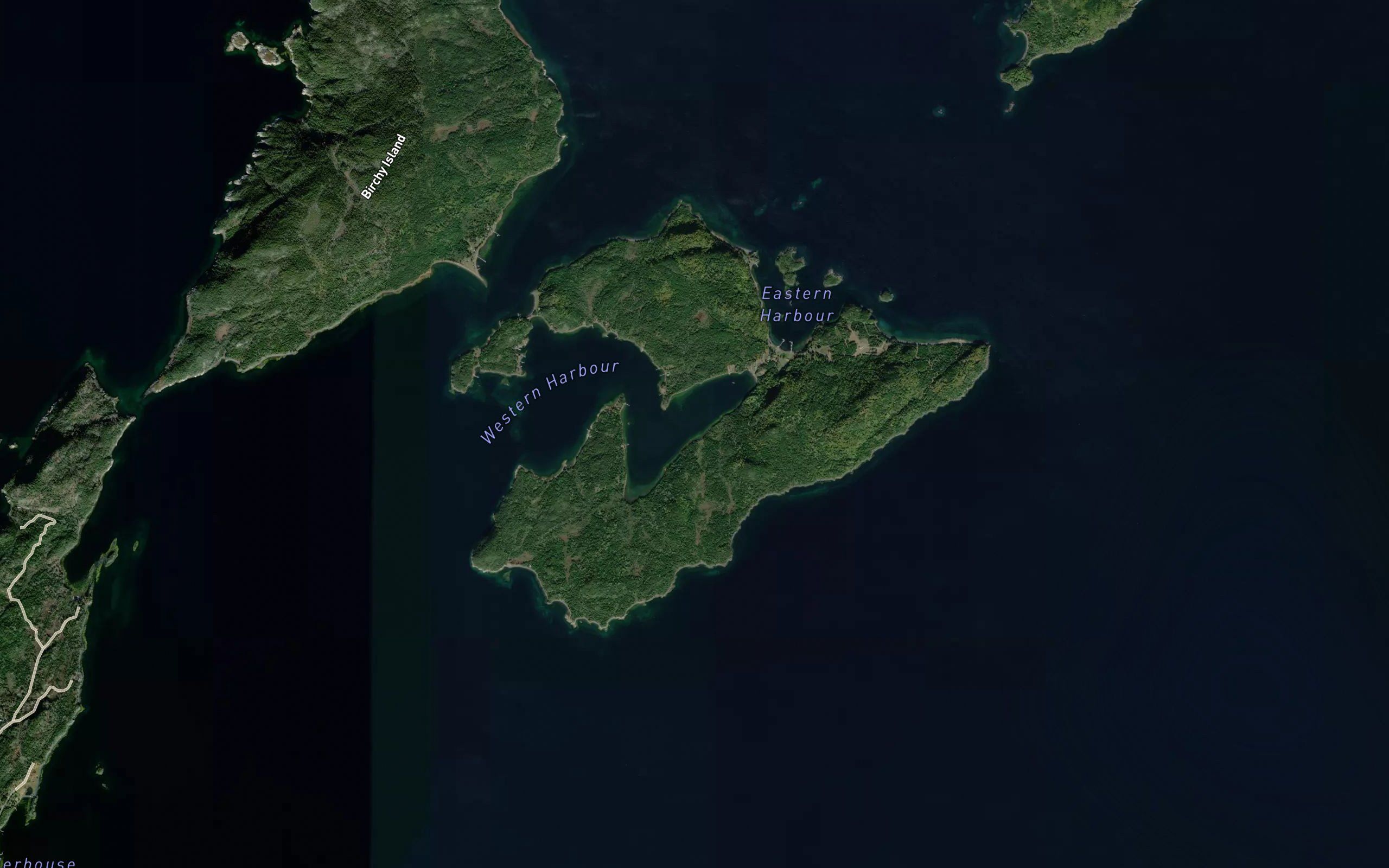 Birchy Island Tickle
