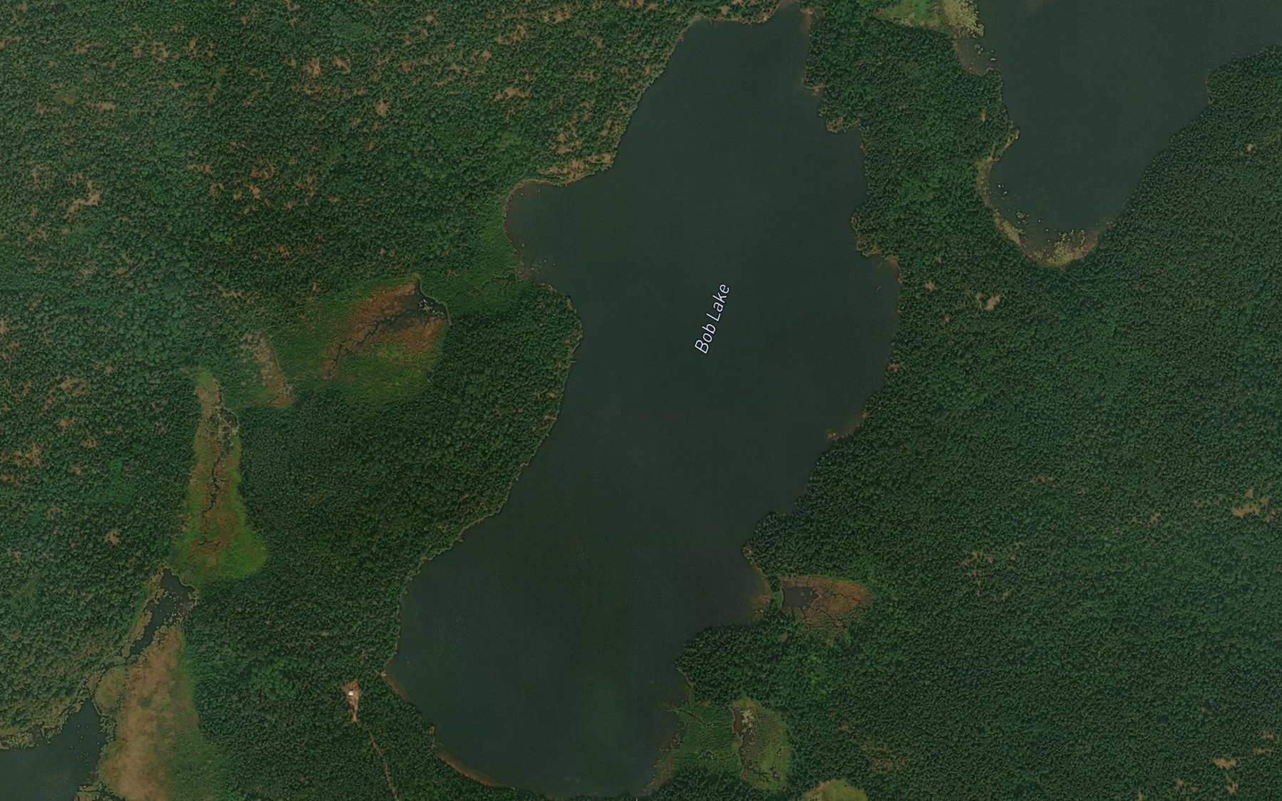 Satellite map of the Bob Lake