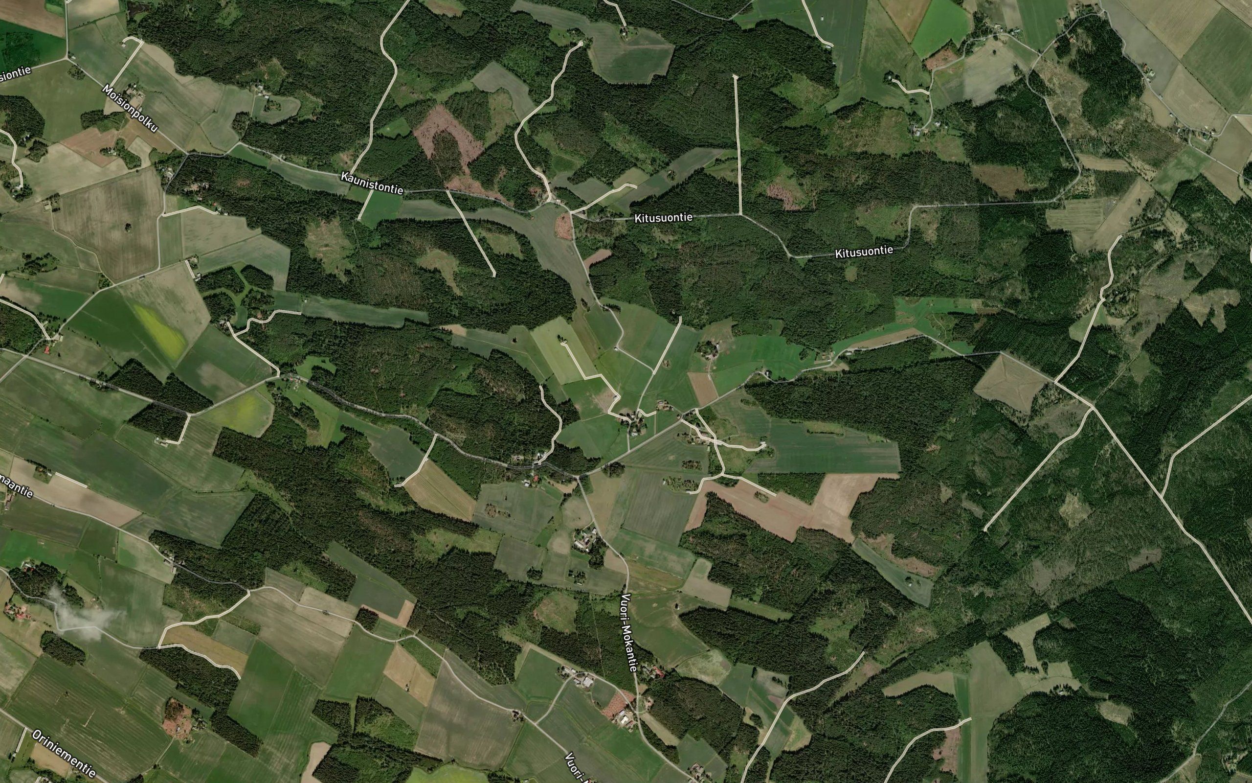Mustankorvenoja