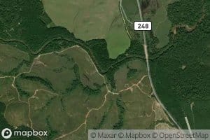 Coopers Creek