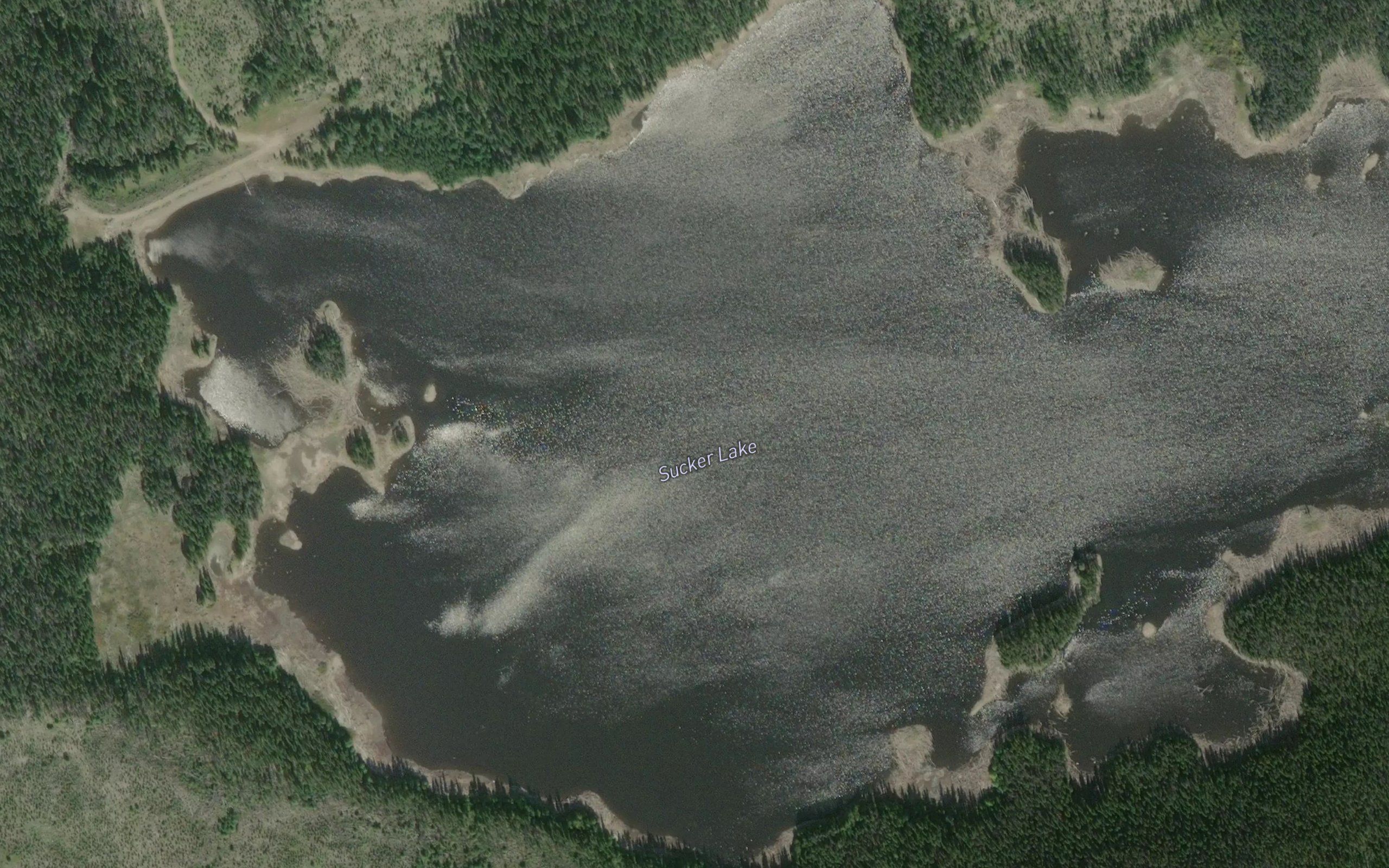 Sucker Lake