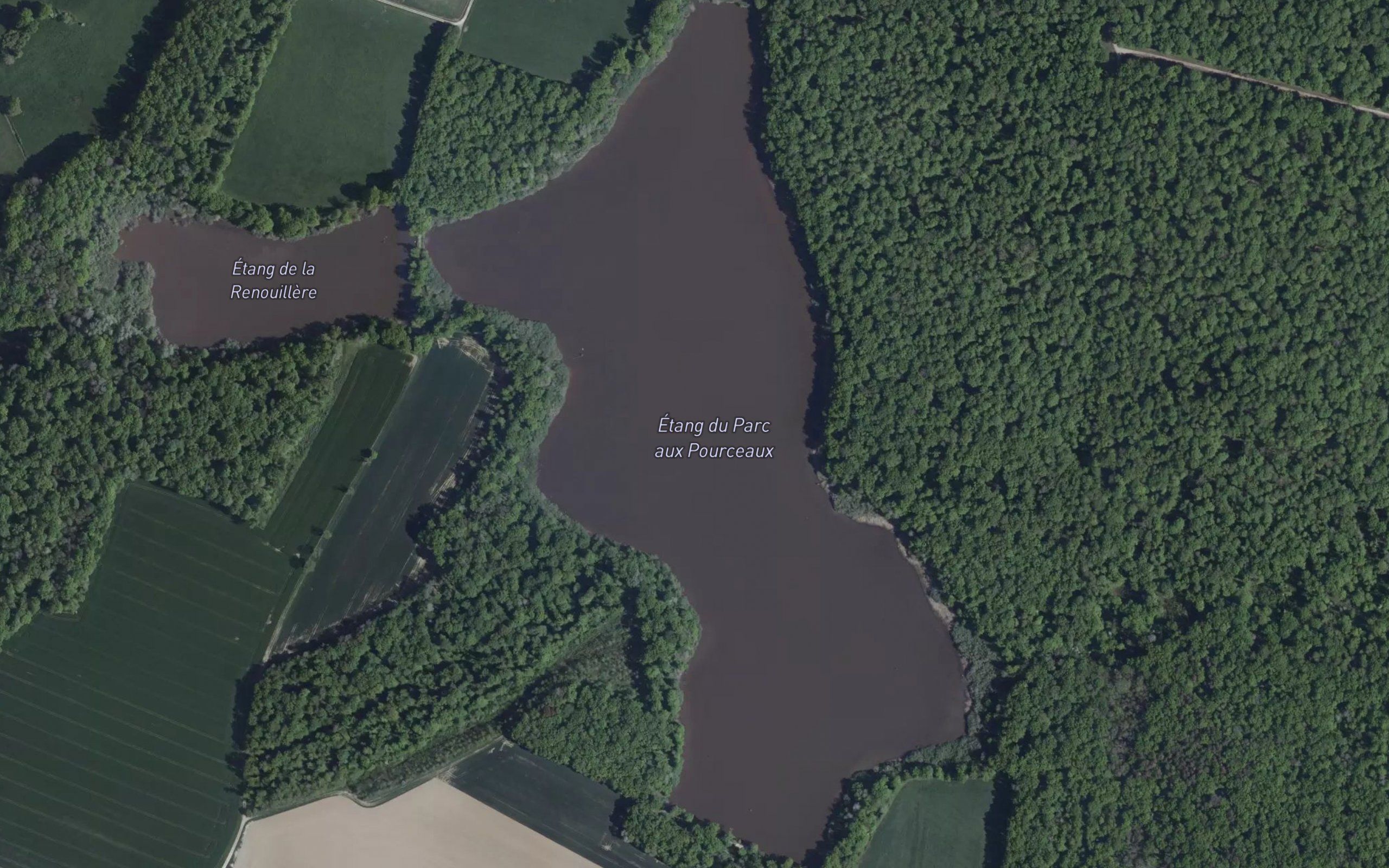 Etang du Parc aux Pourceaux