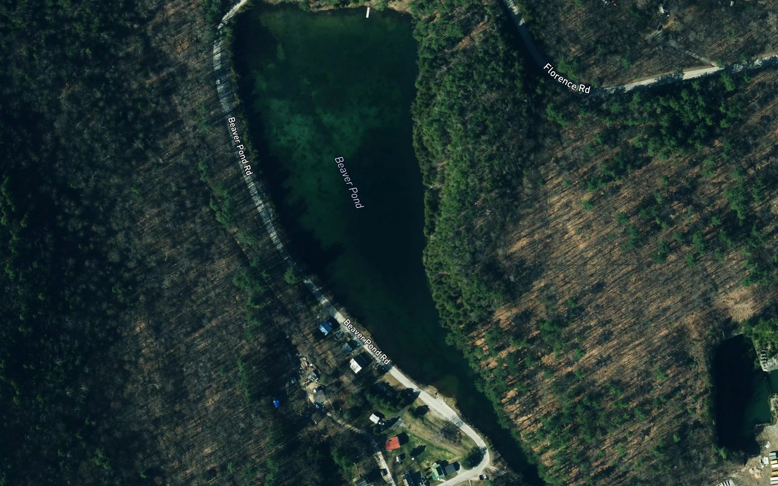 Beaver Pond