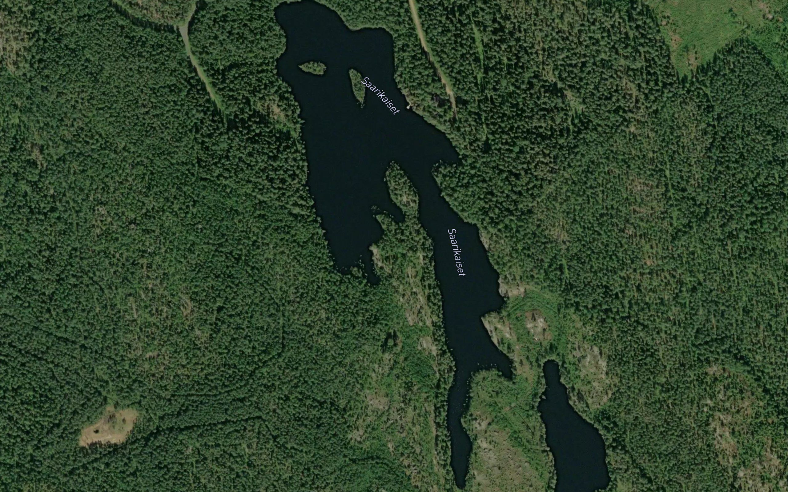 Saarikaiset