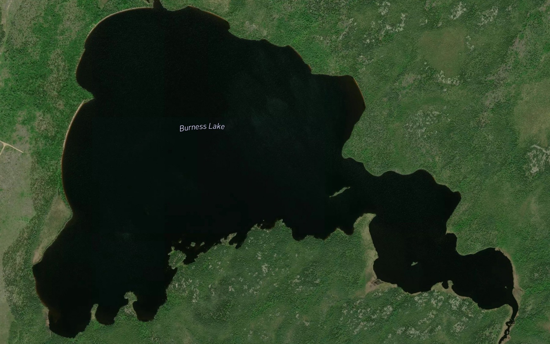 Satellite map of the Burness Lake