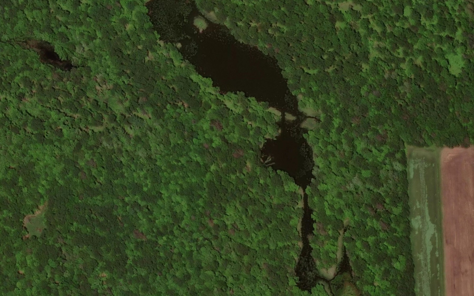 Satellite map of the Severson Lake