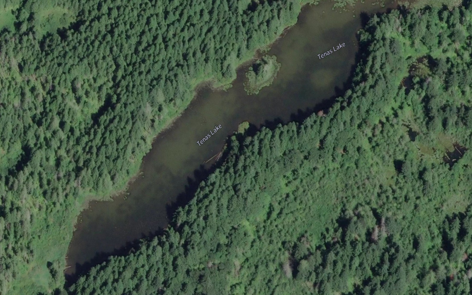 Satellite map of the Tenas Lake