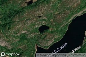 Goplefjelltjodn
