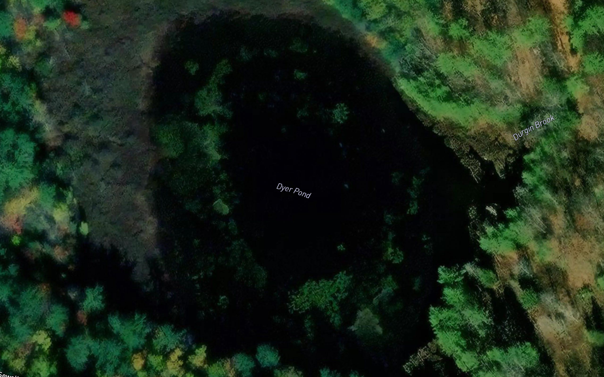 Dyer Pond