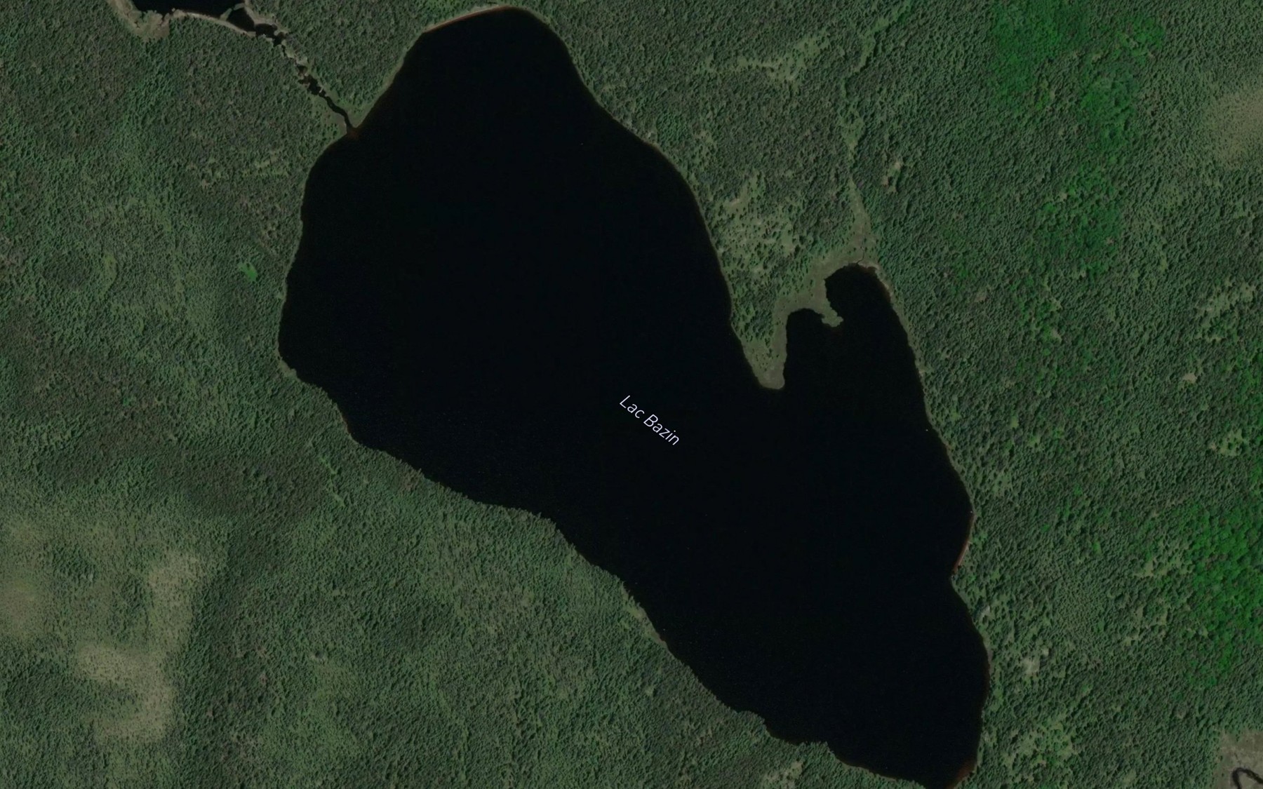Satellite map of the Lac Bazin