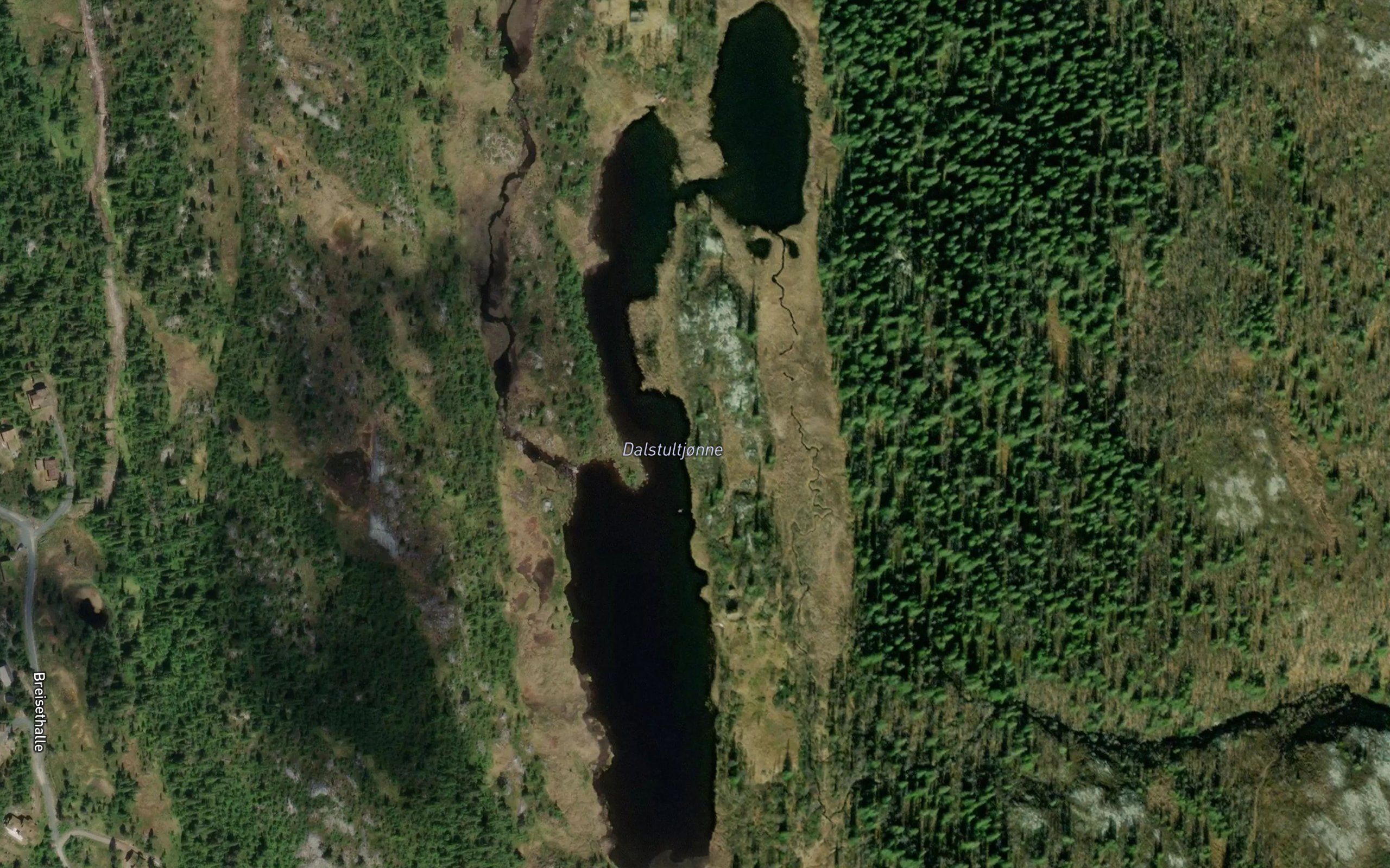 Dalstultjorni