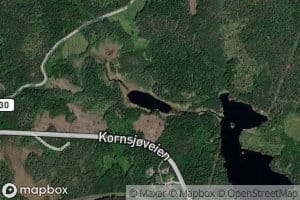 Loksvatn,l