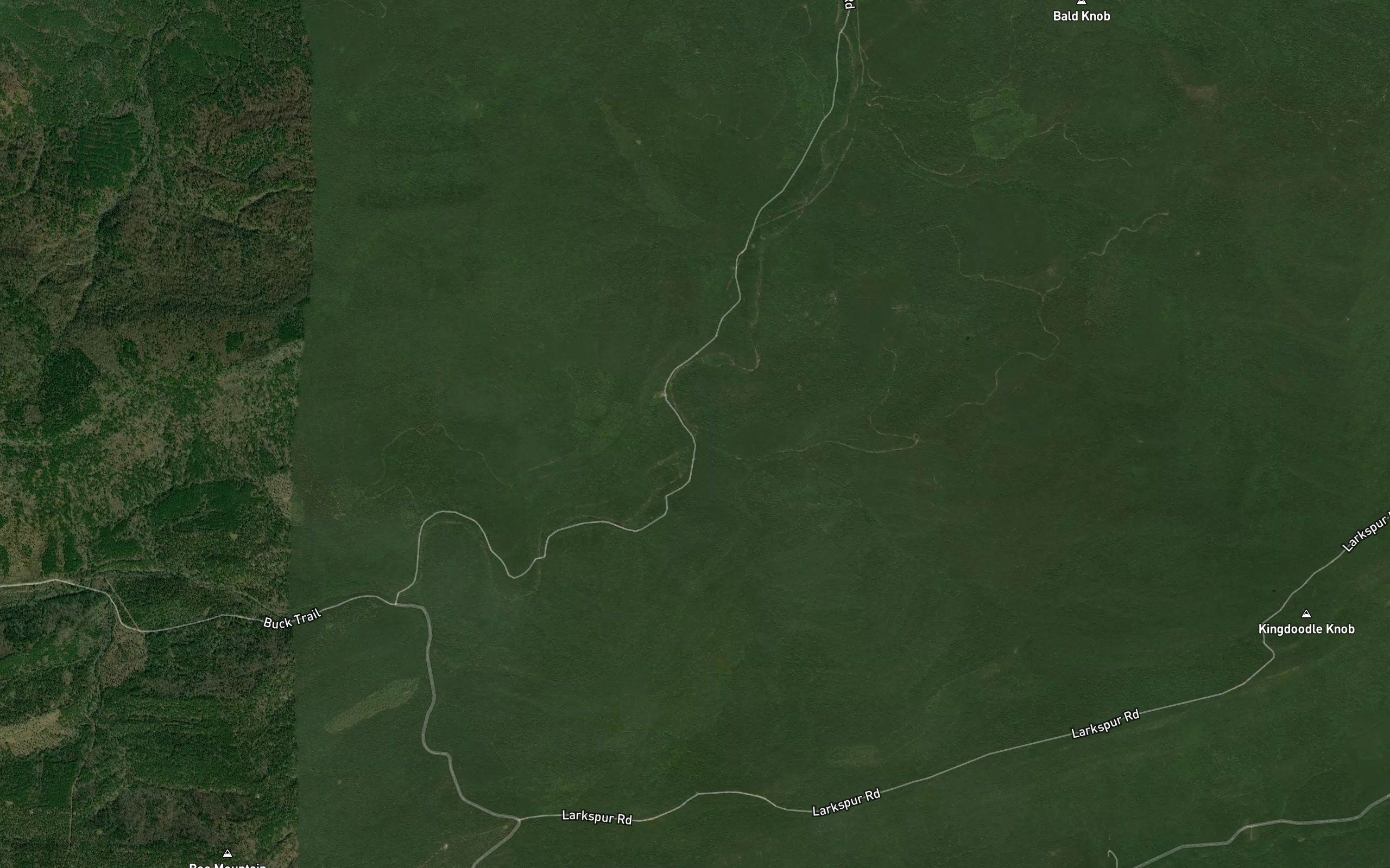 Kingdoodle Creek