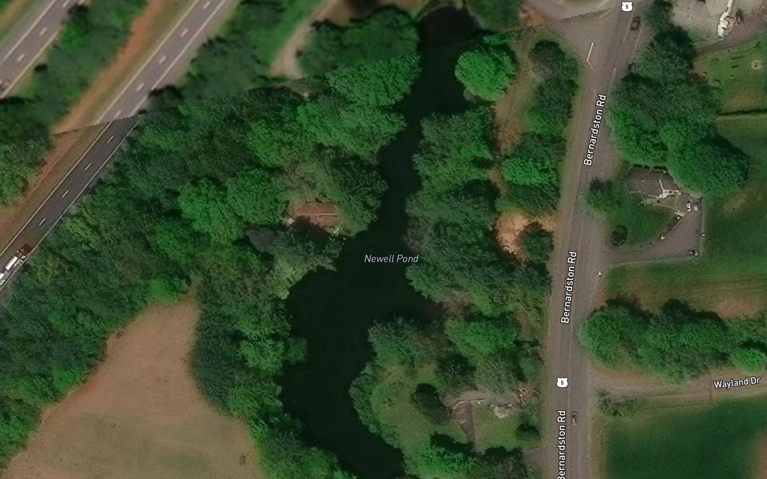 Newell Pond