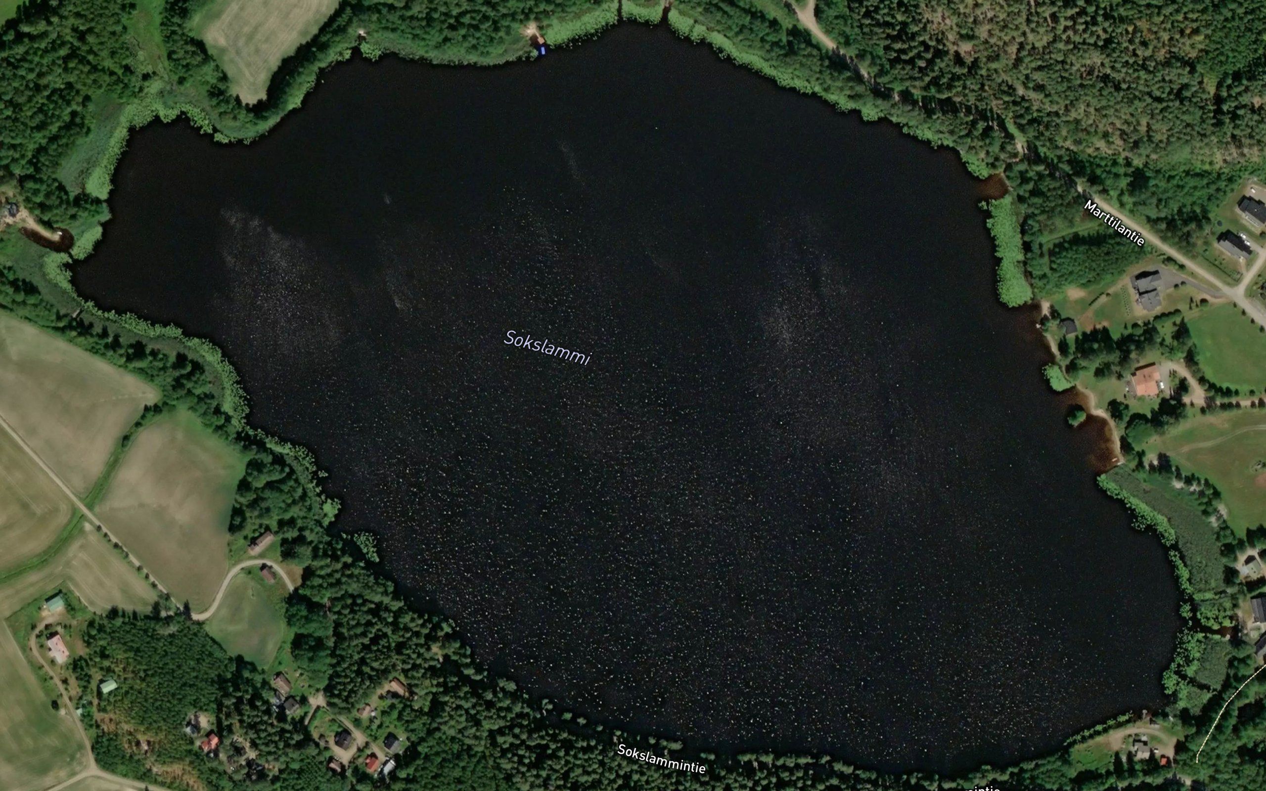 Sokslammi