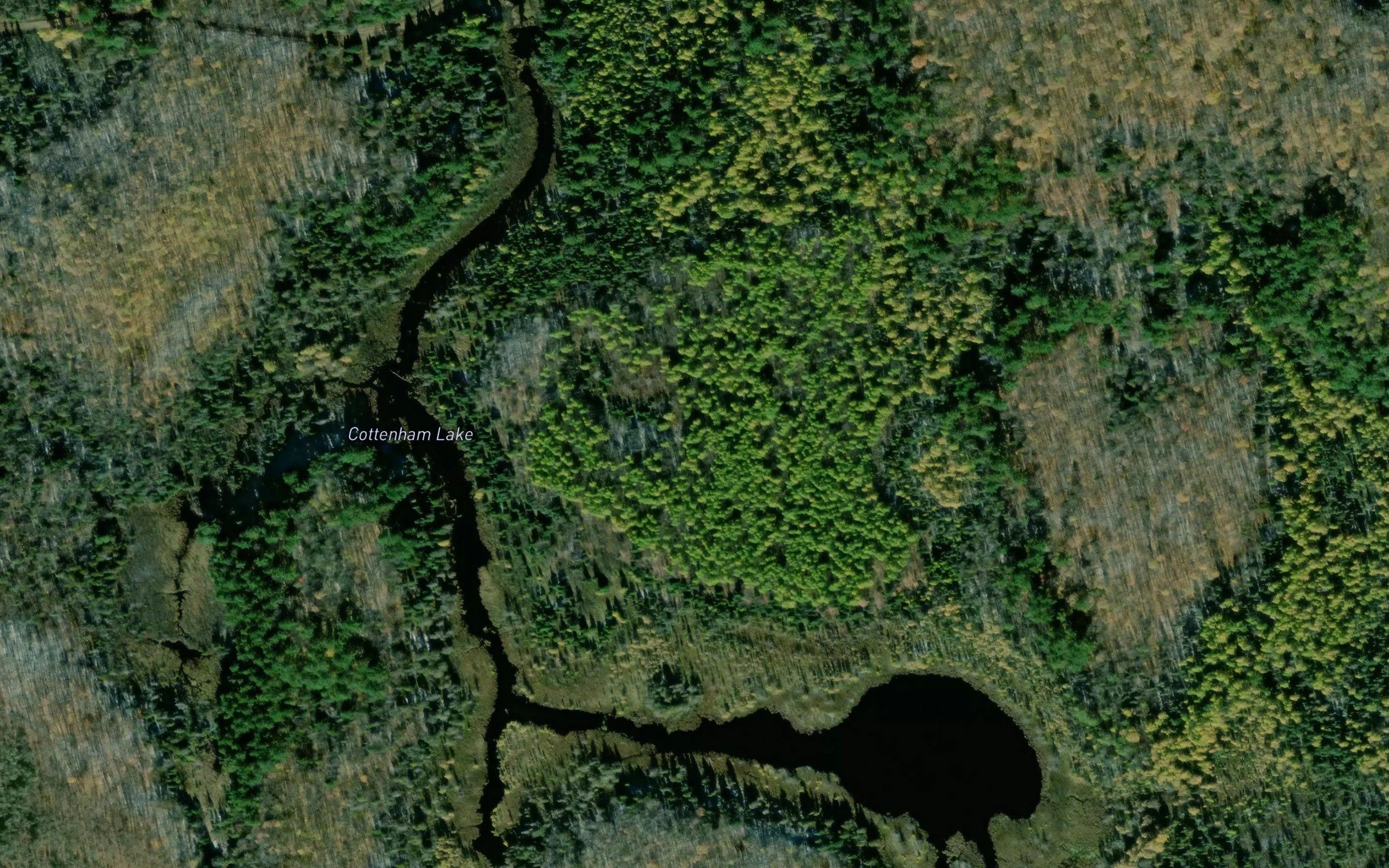 Cottenham Lake