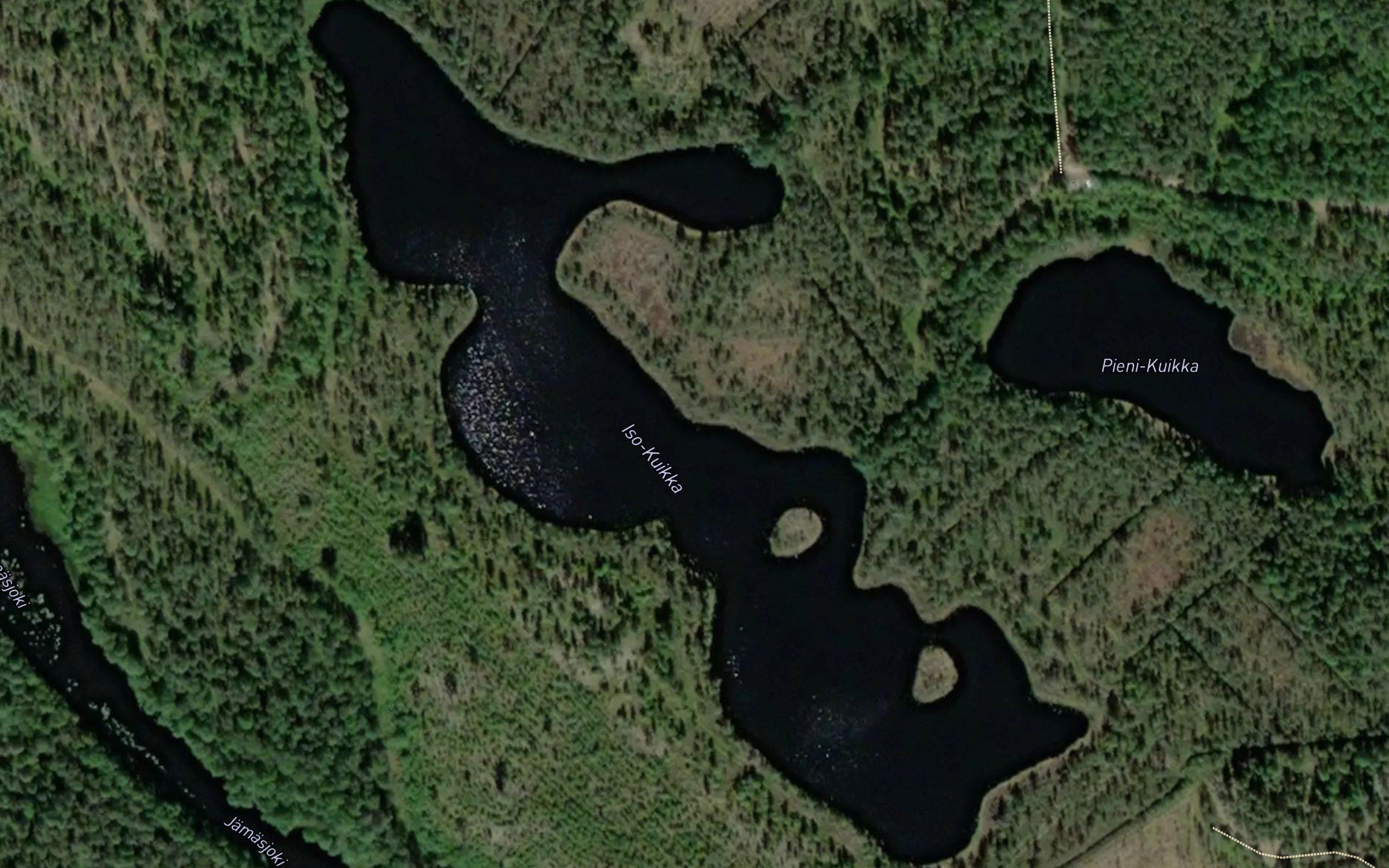 Iso-Kuikka