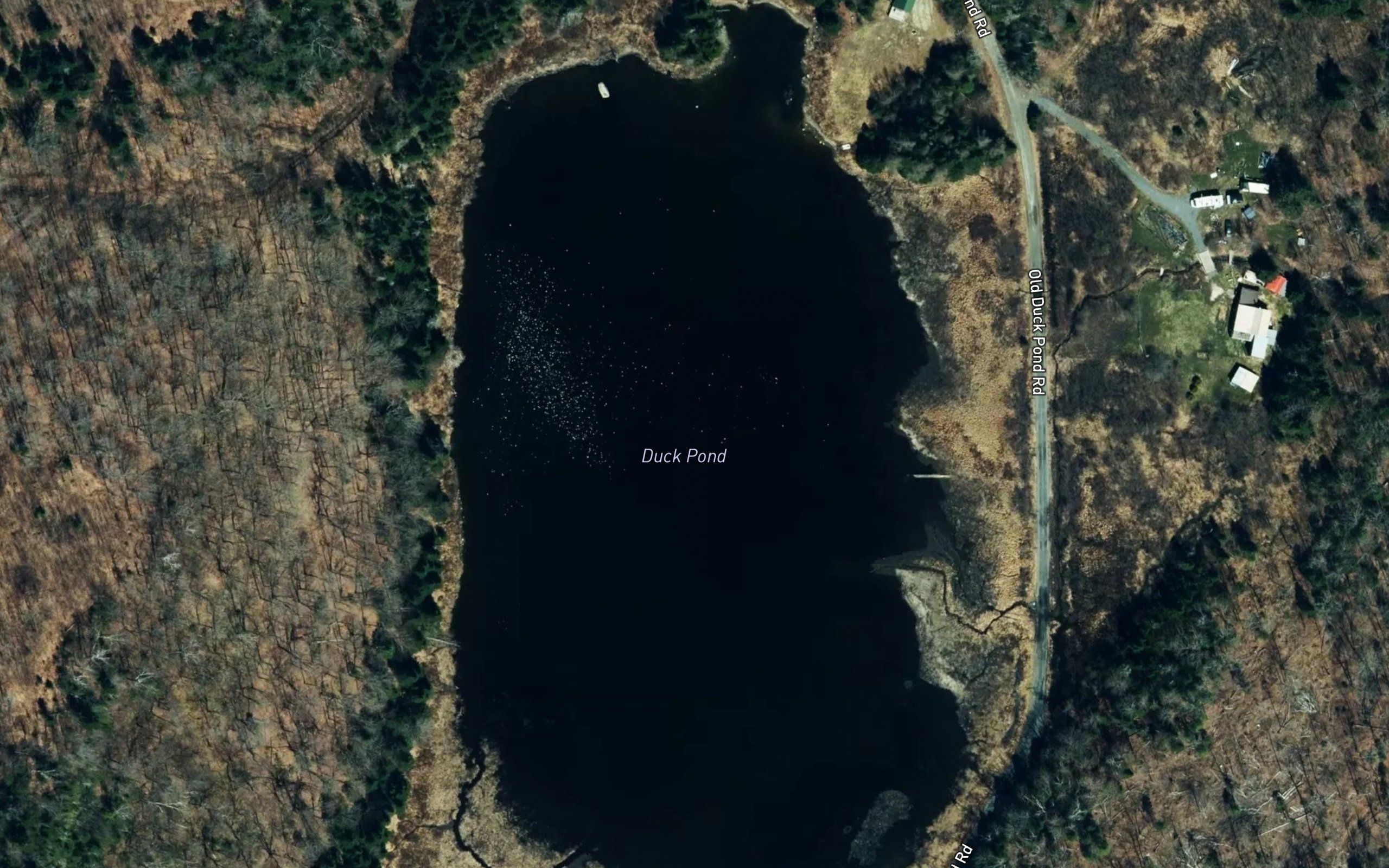Duck Pond