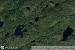 Bukketjonn