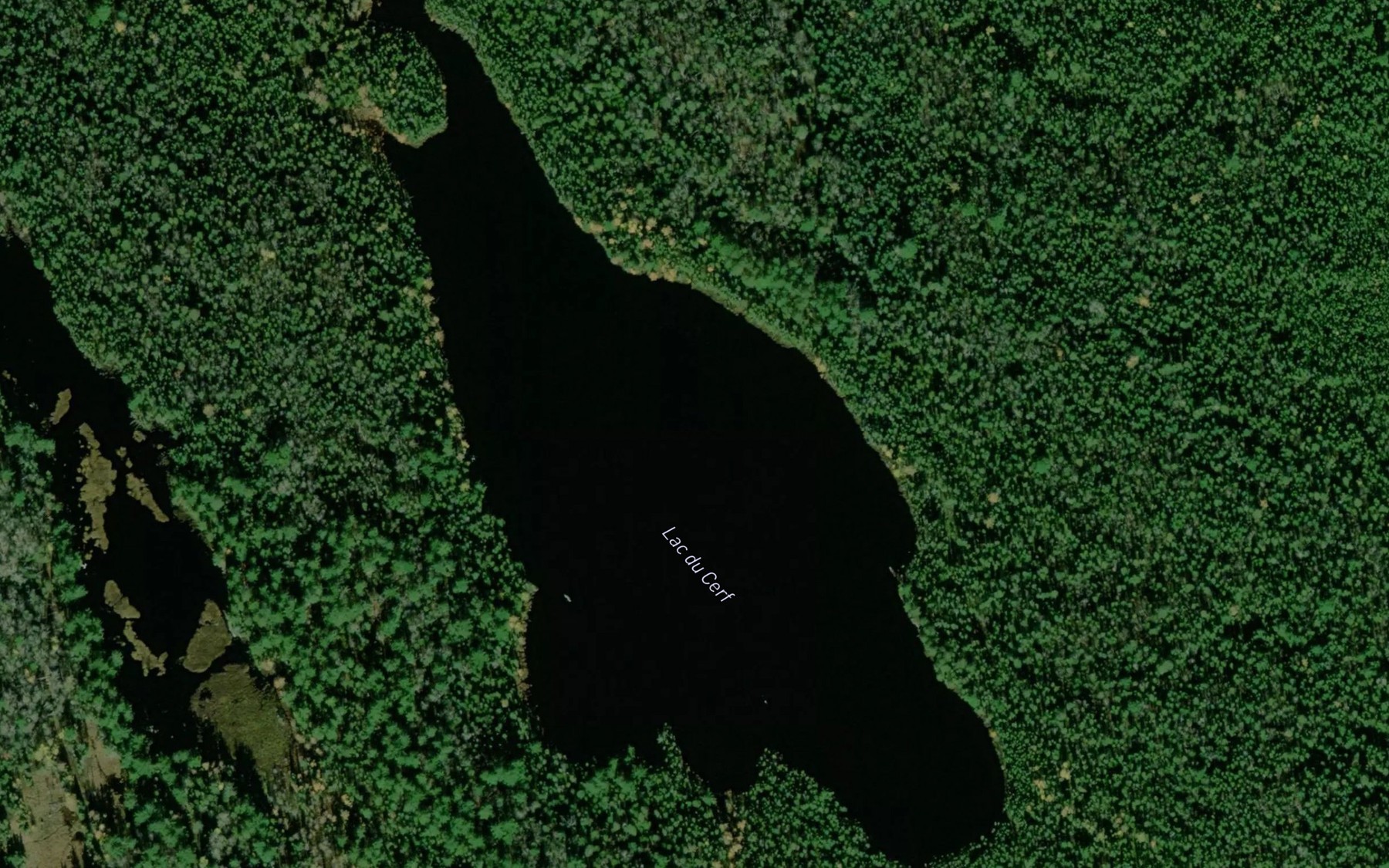 Satellite map of the Lac du Cerf