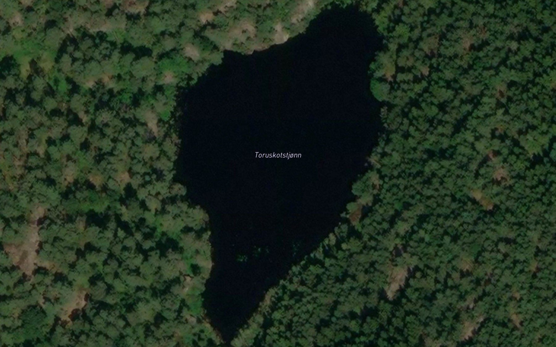 Satellite map of the Toruskotstjonn