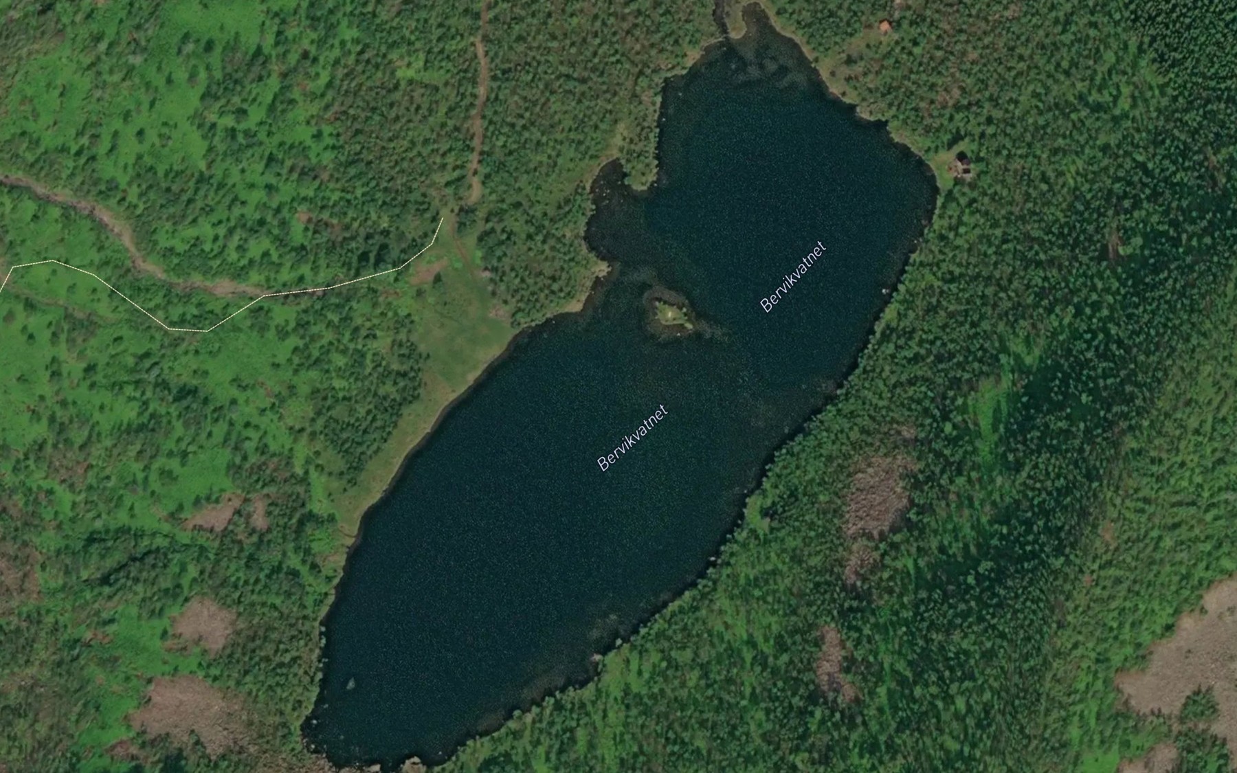 Satellite map of the Bergvikvatnet