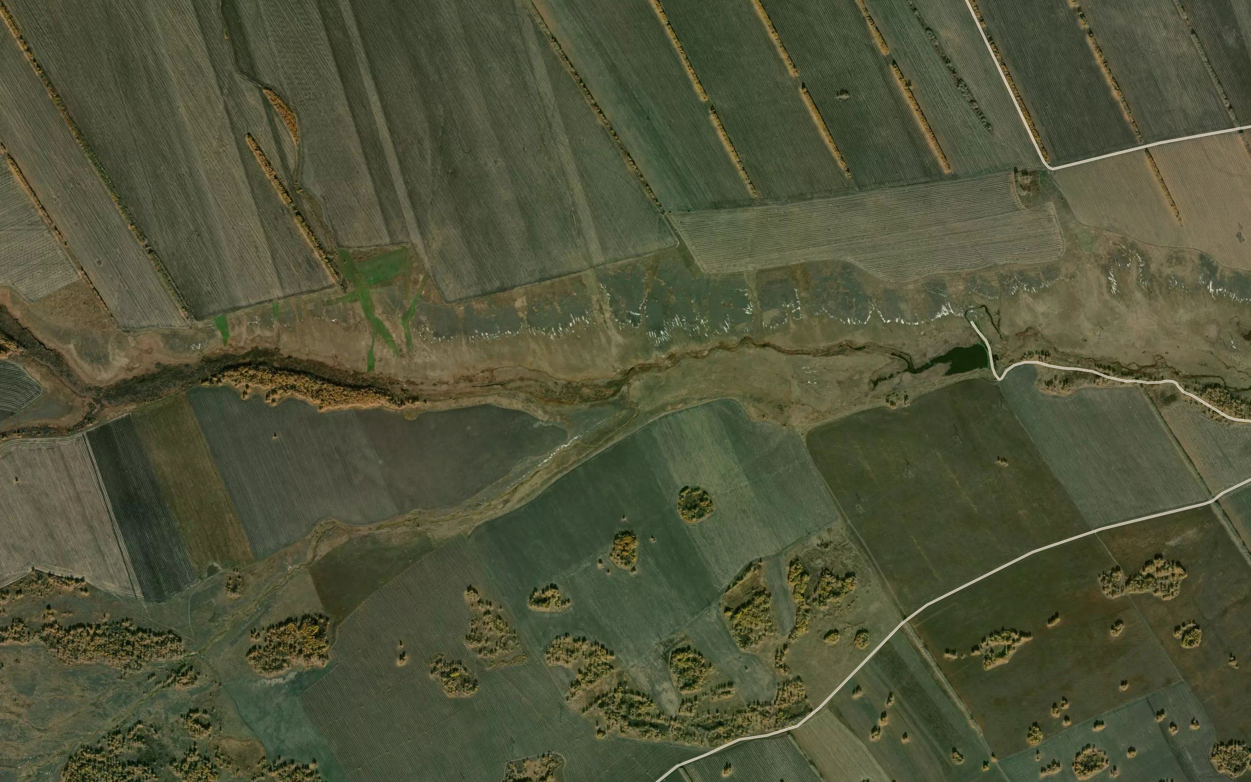 Solonovka
