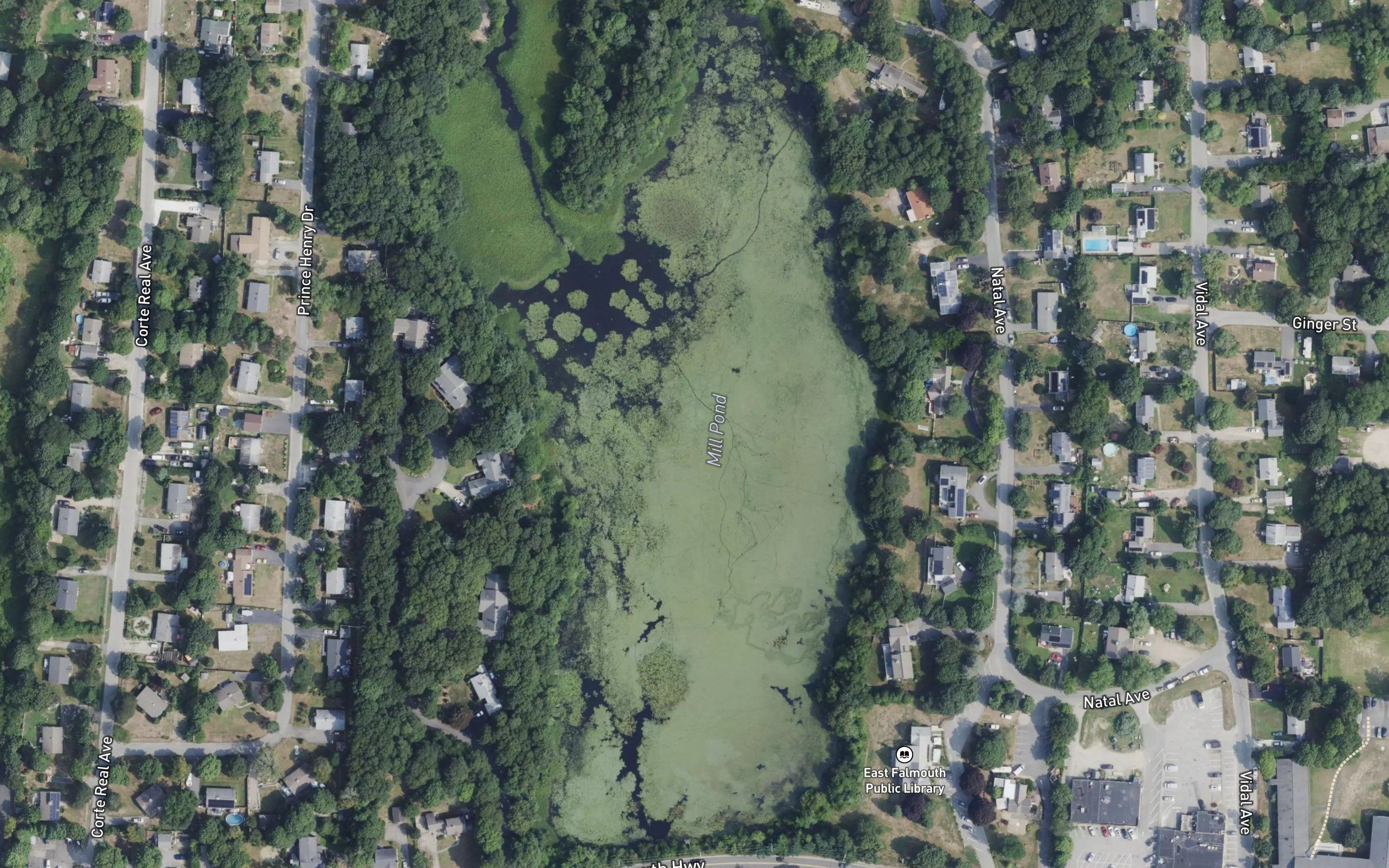 Mill Pond