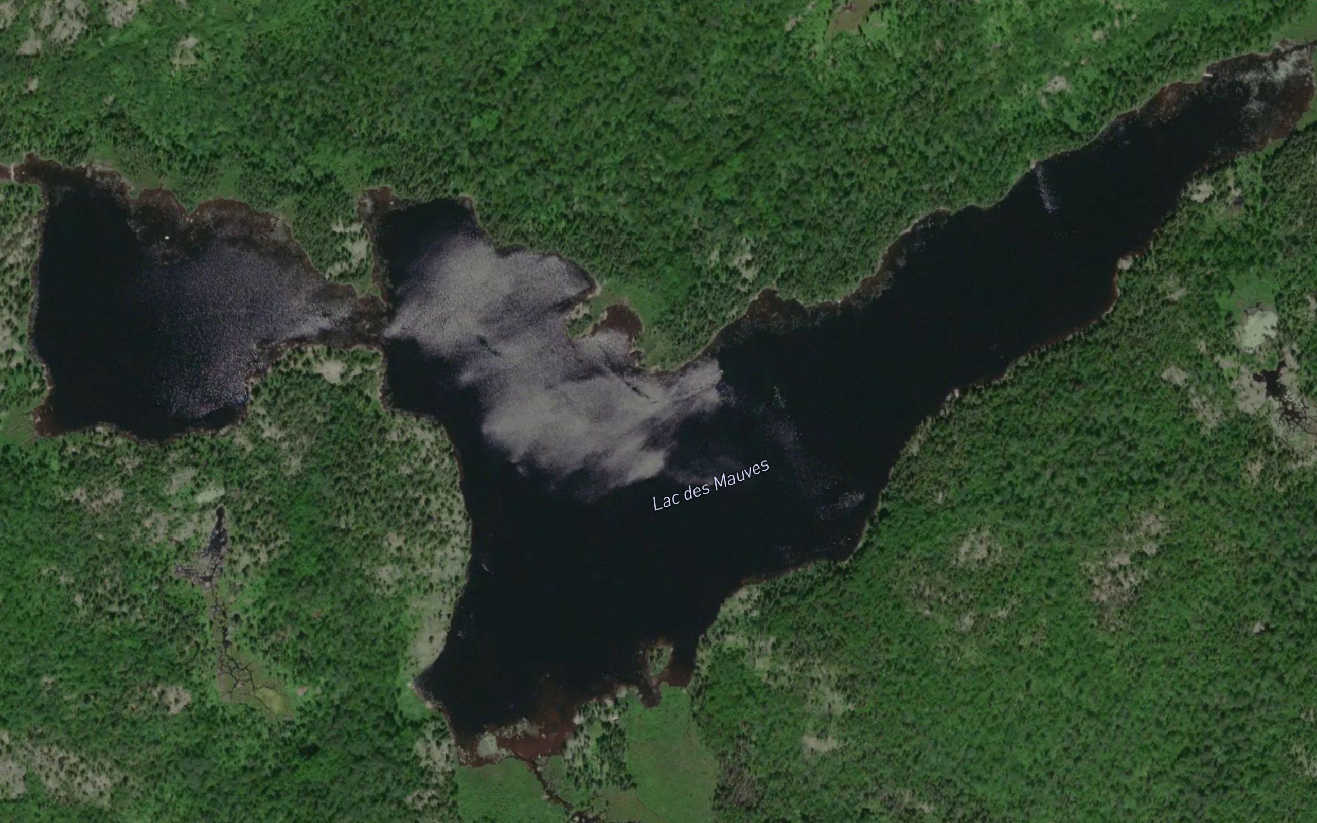 Lac des Mauves