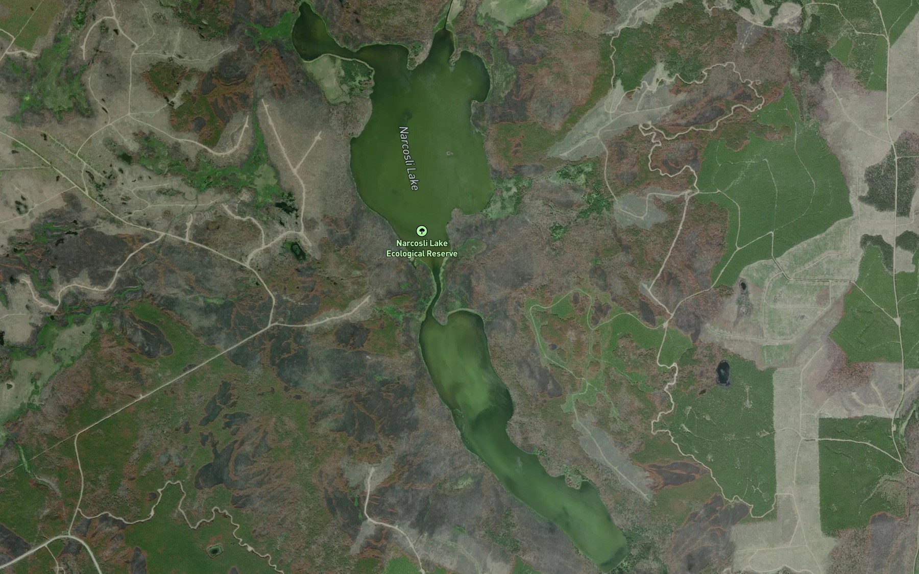 Satellite map of the Narcosli Lake