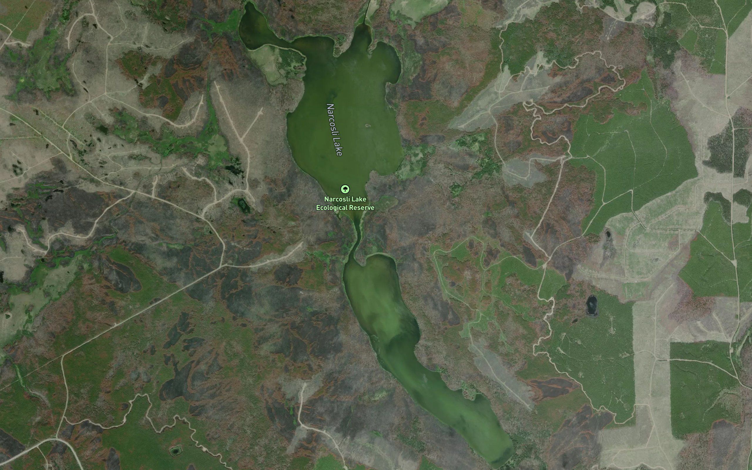Narcosli Lake