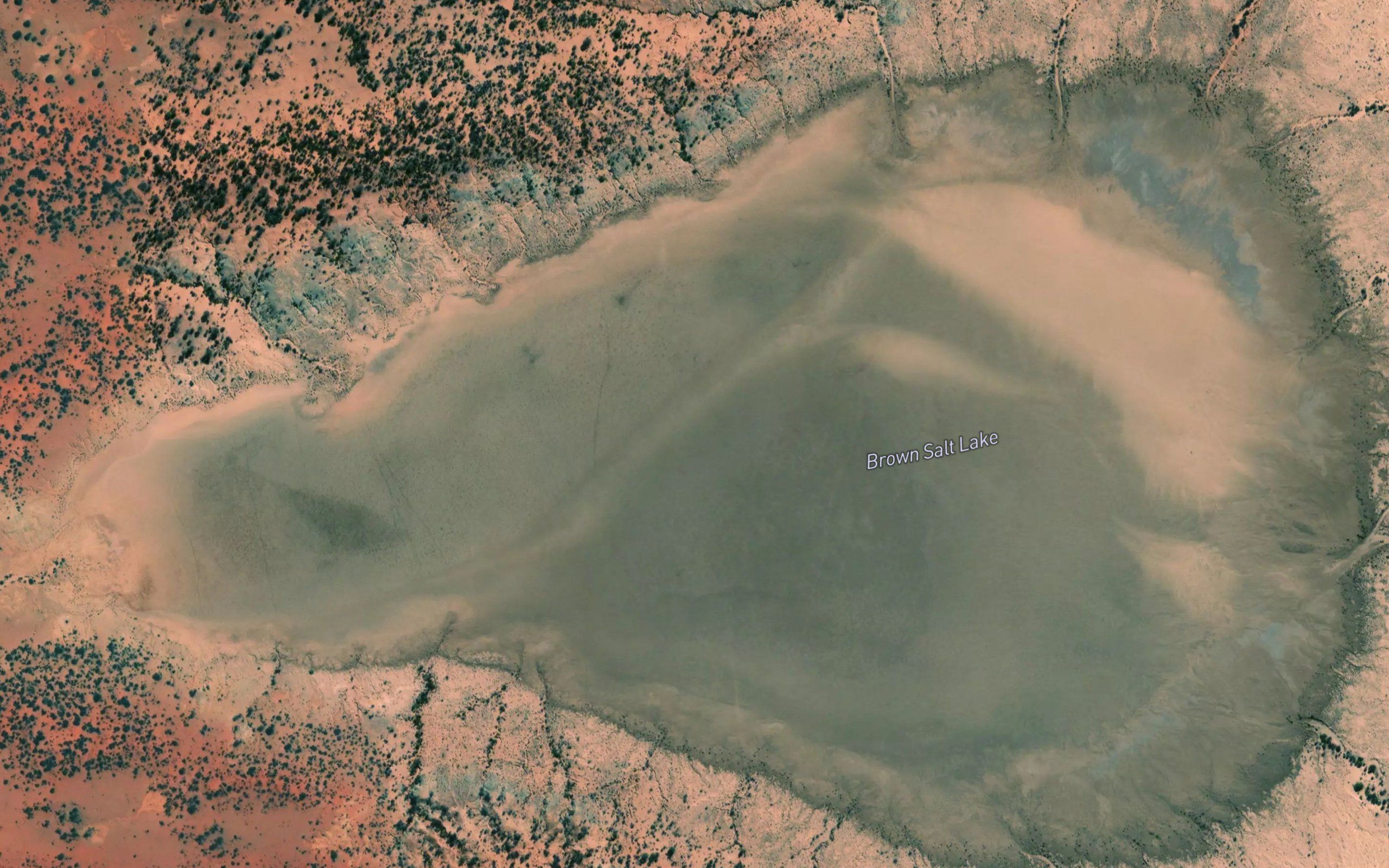 Brown Salt Lake