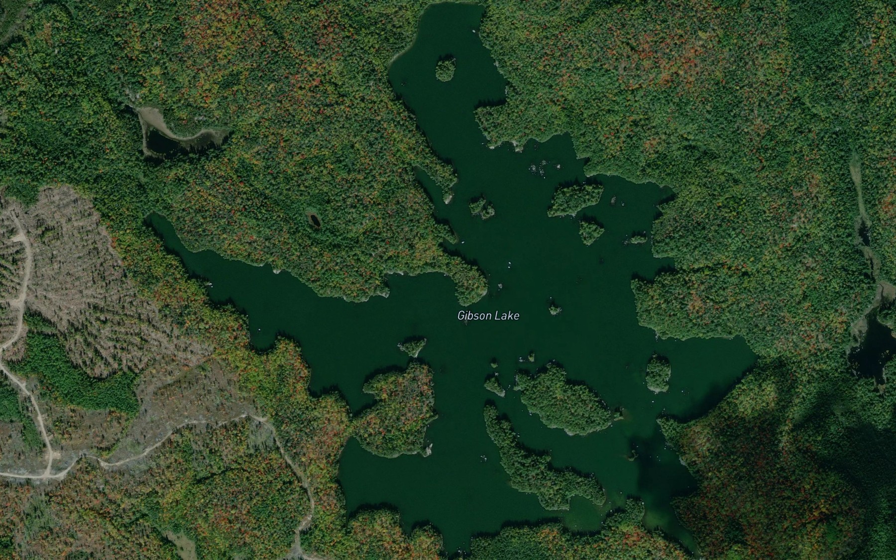 Satellite map of the Gibson Lake