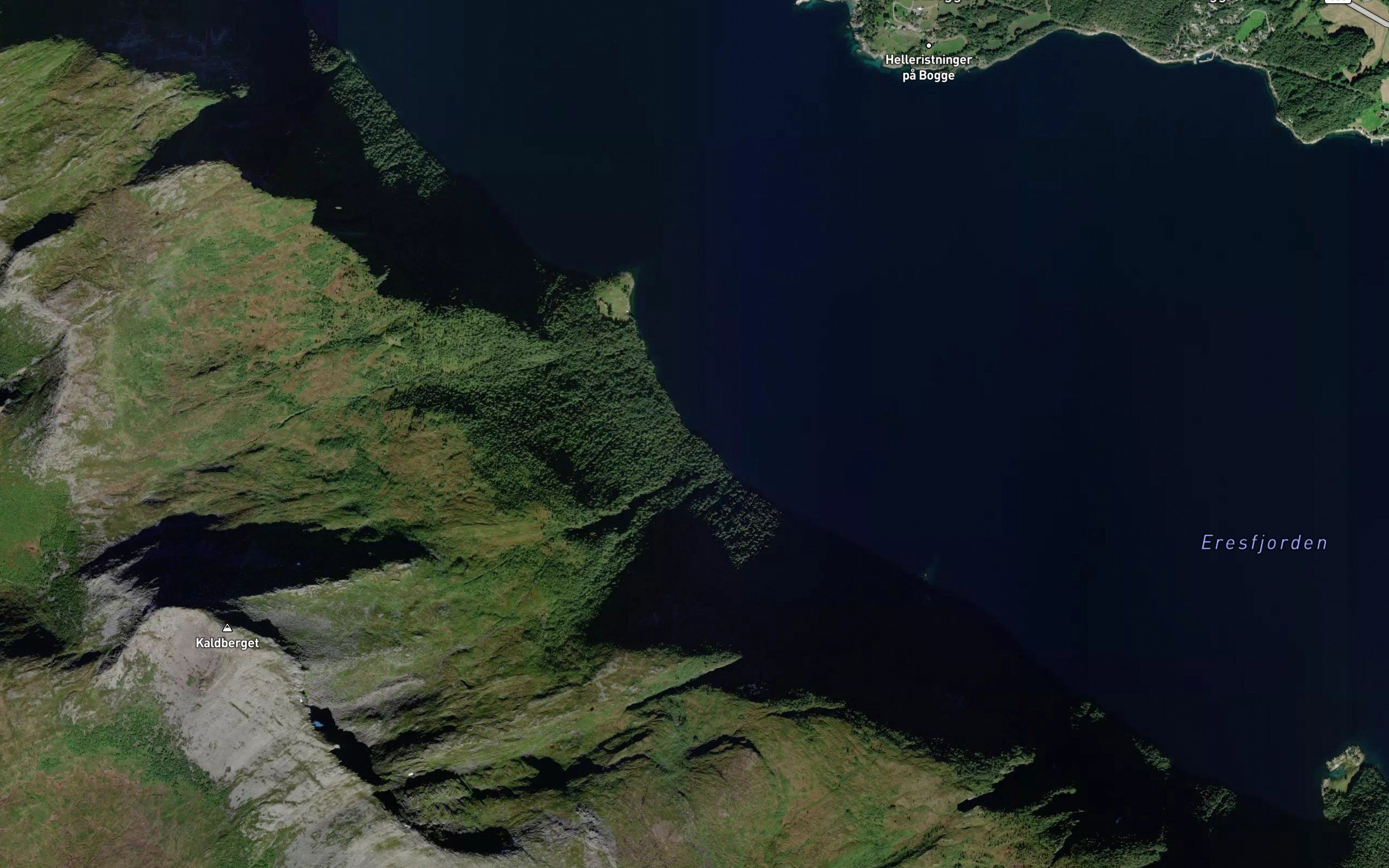 Urdvikan