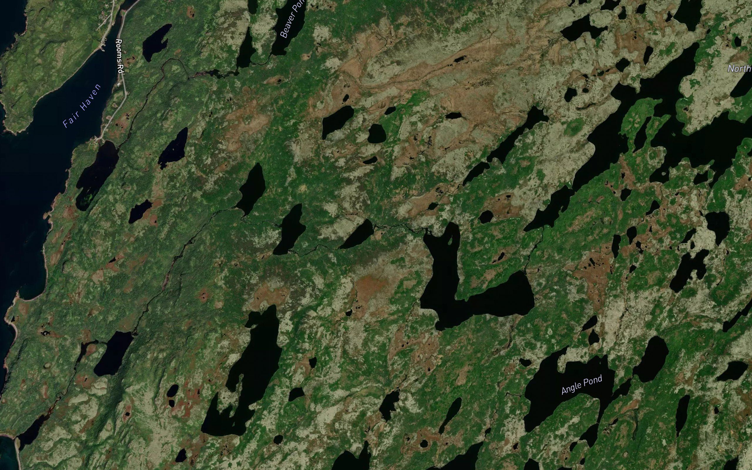 Barachois Outside Pond