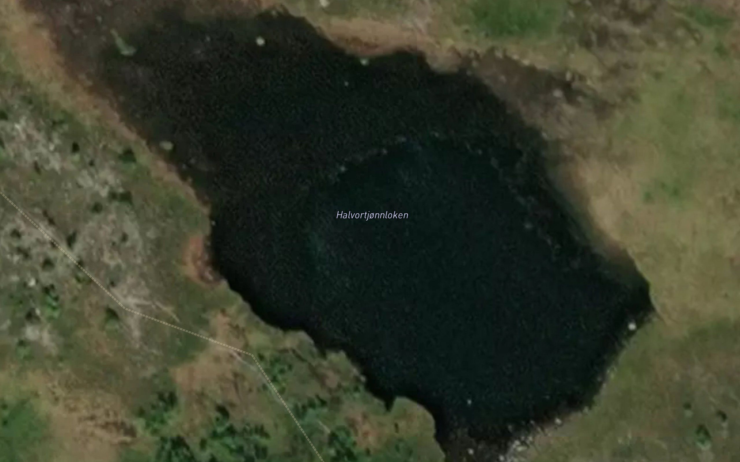 Hallvortjonnloken