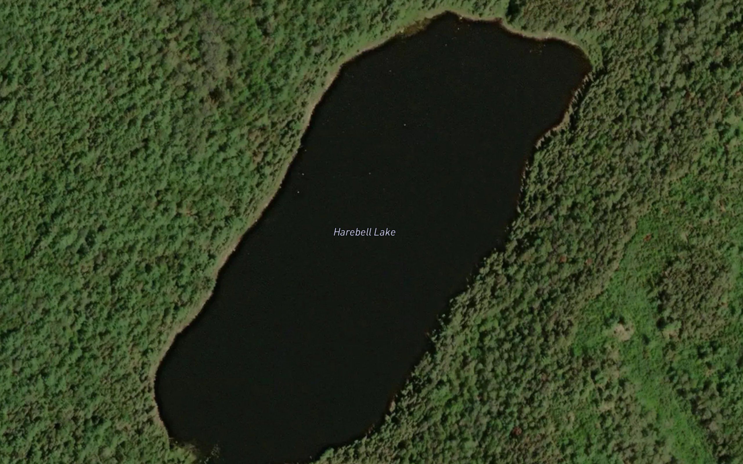 Harebell Lake