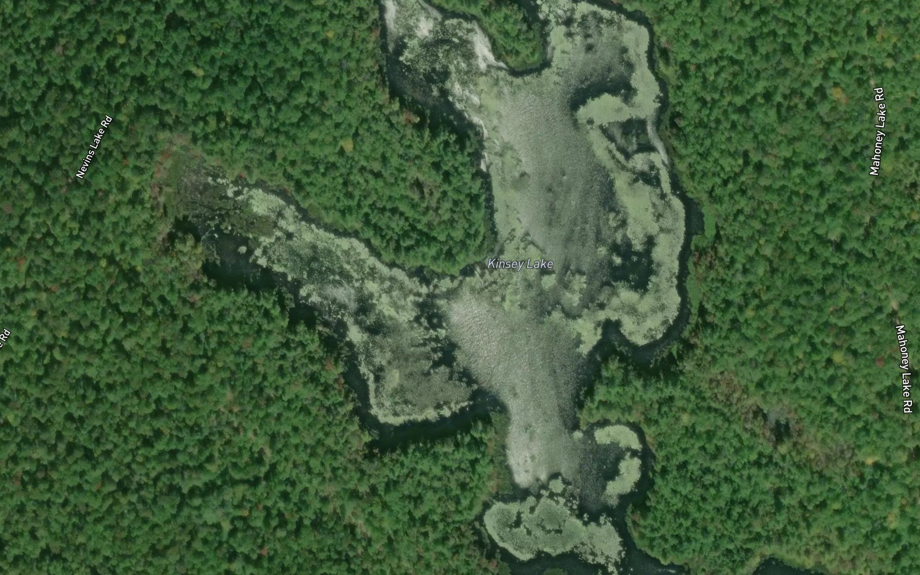 Satellite map of the Kinsey Lake