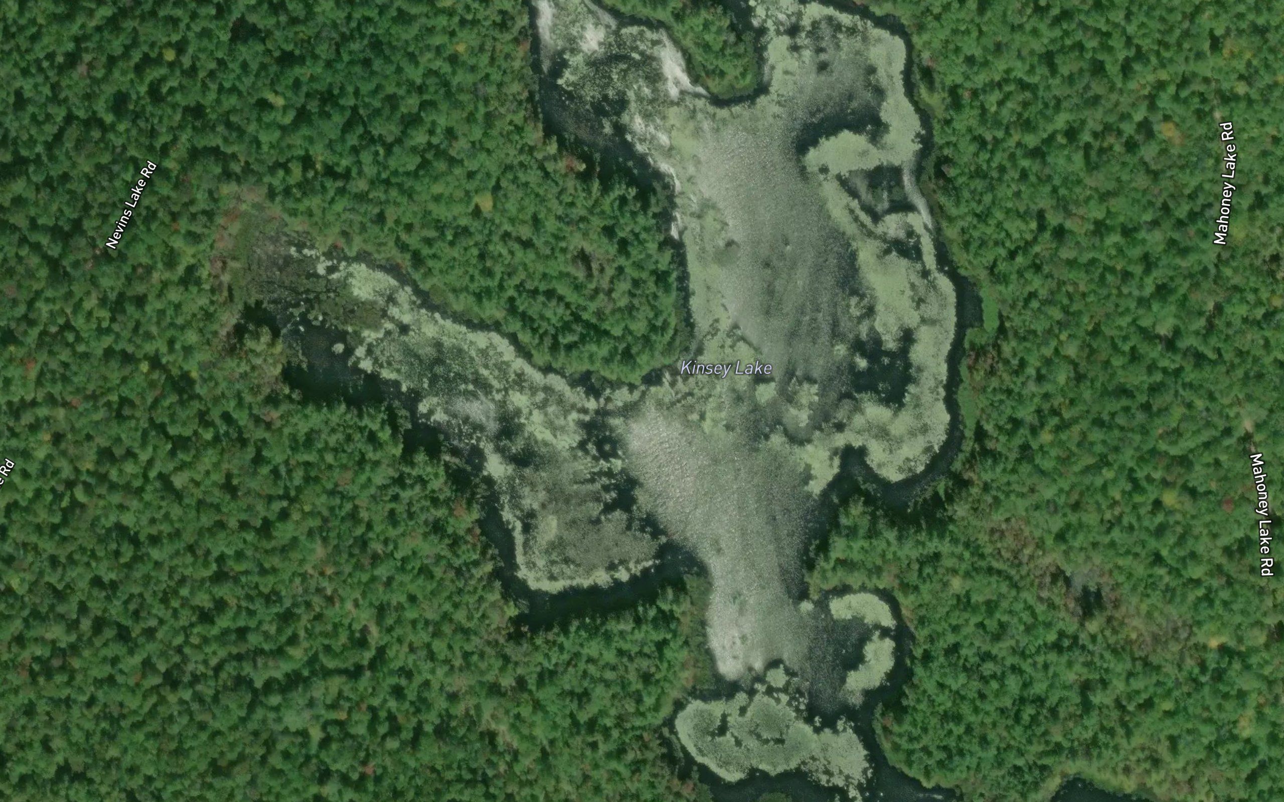 Kinsey Lake