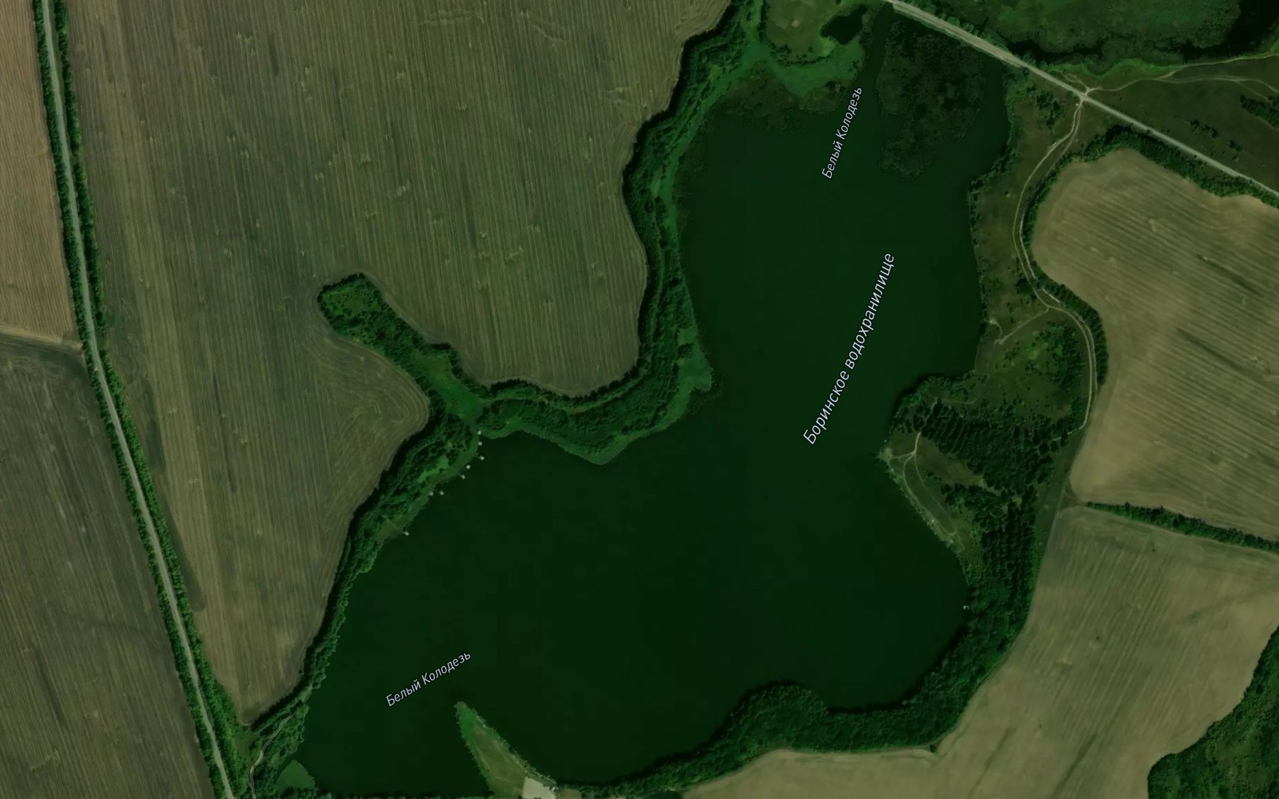 Satellite map of the Prud Borinskiy