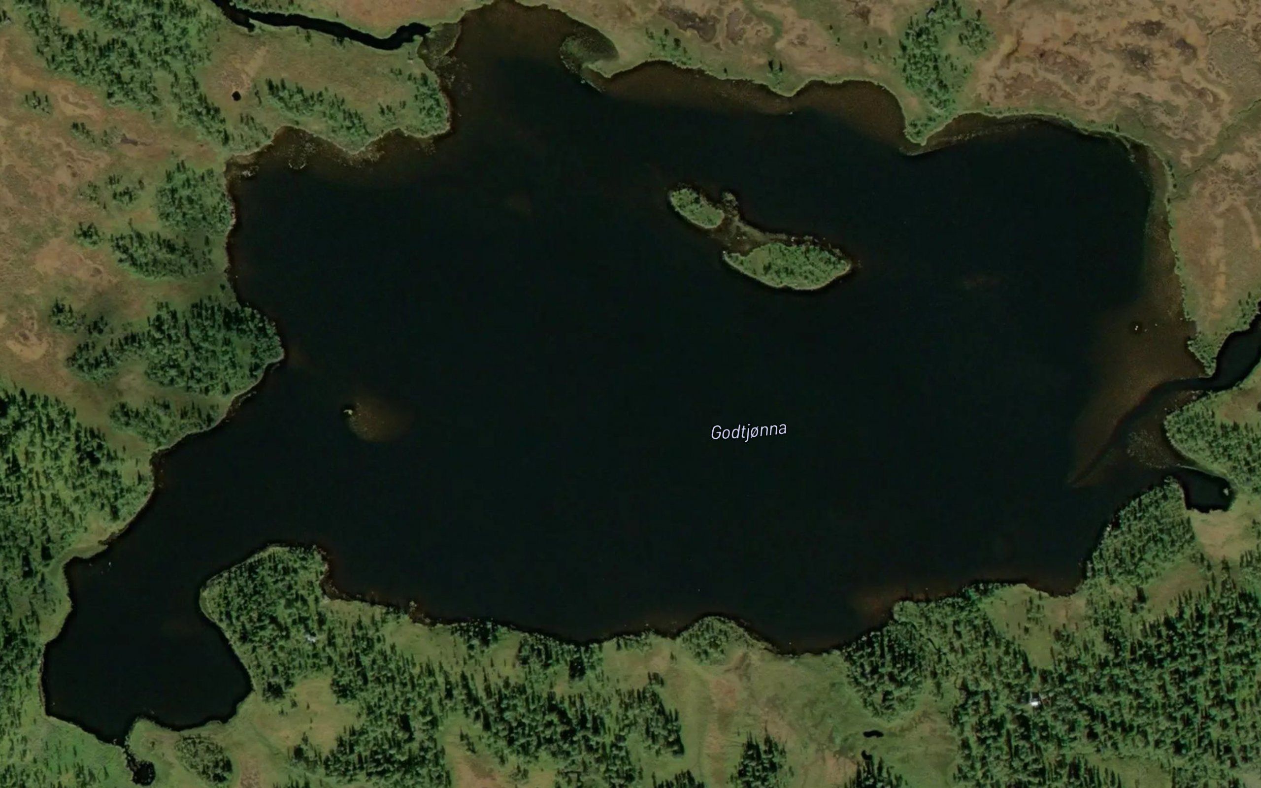 Godtjonna
